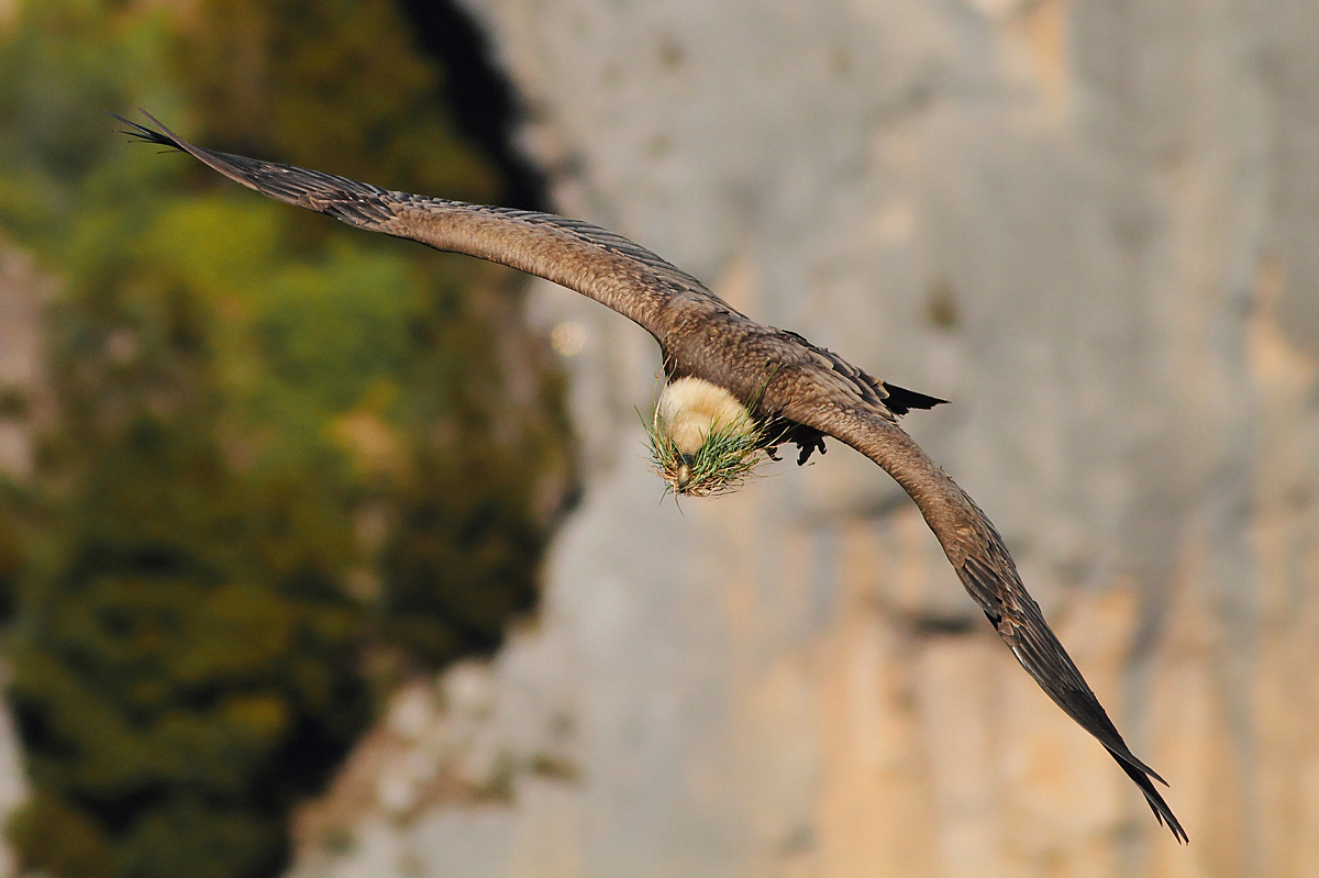 Lavori in corso......
