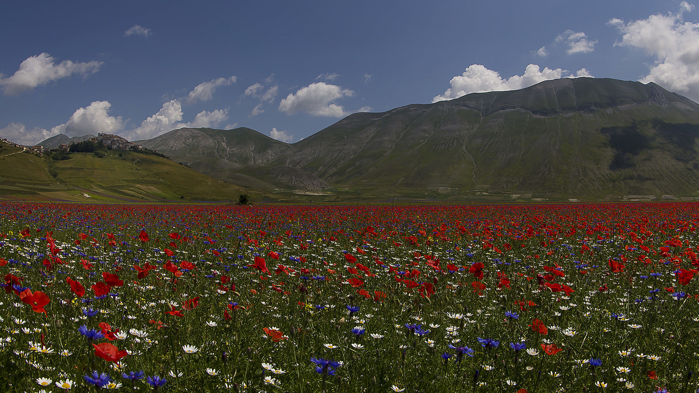 Esplosione Di Colori