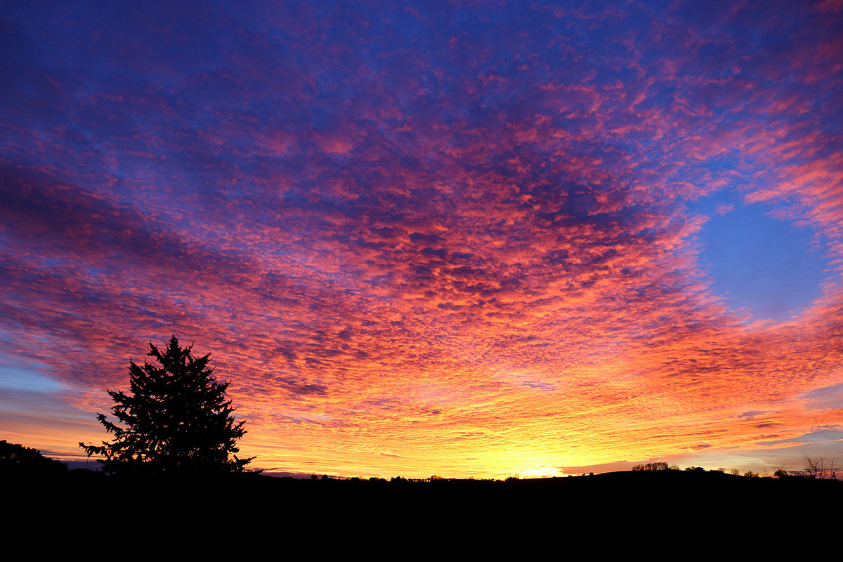 i primi colori del 2016