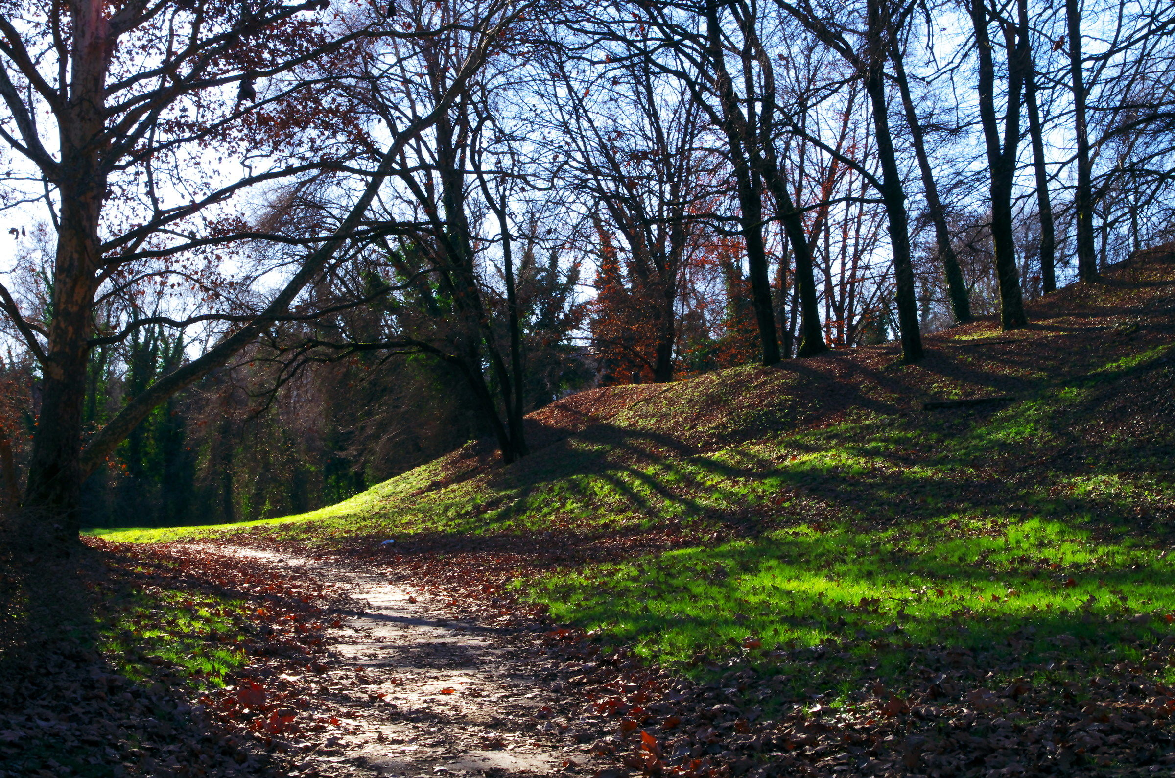 Sentiero al Parco Lambro