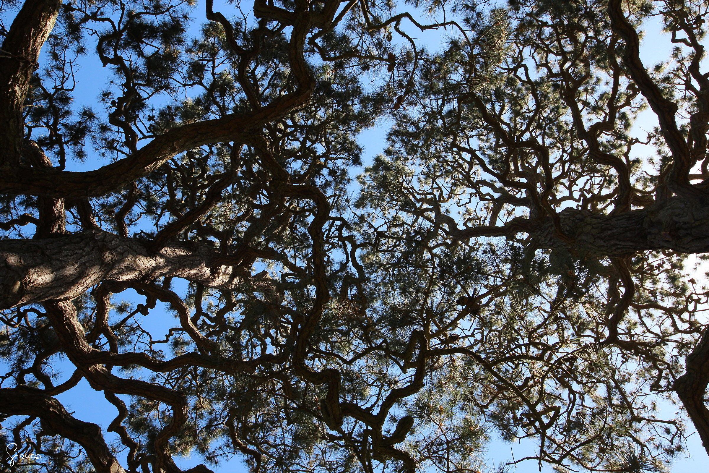 Who can do without relations?