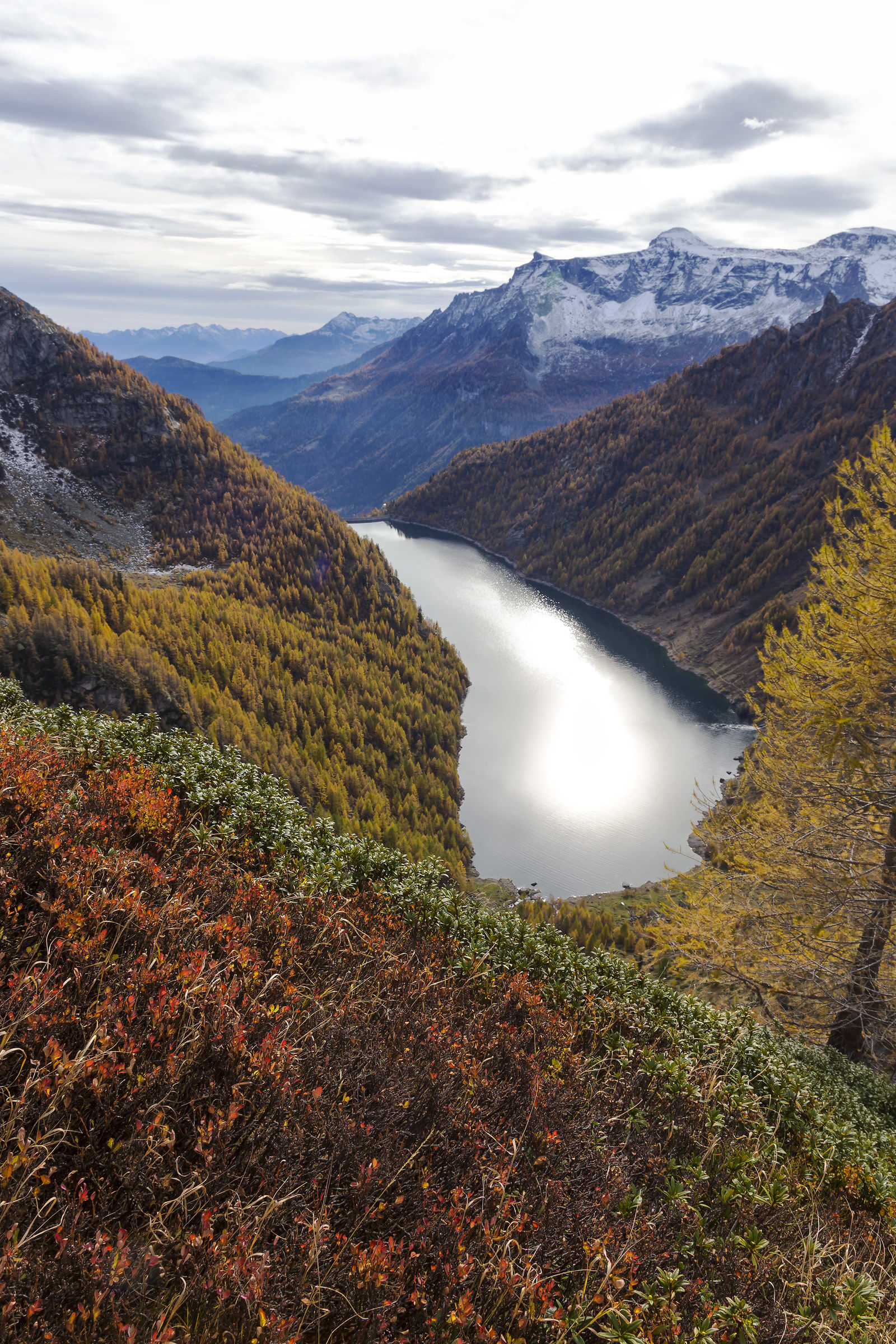 I colori d'autunno su Agaro. Parco del Devero