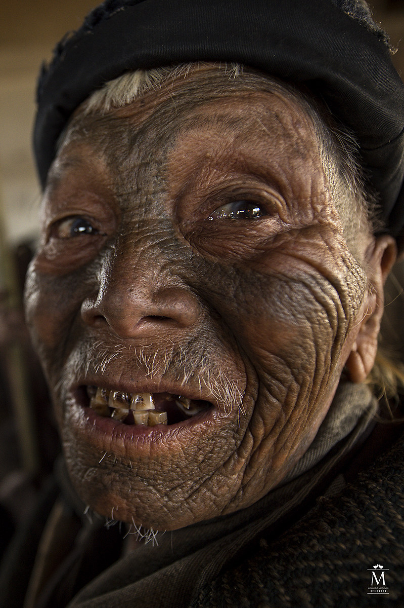 Clipper will head, portrait