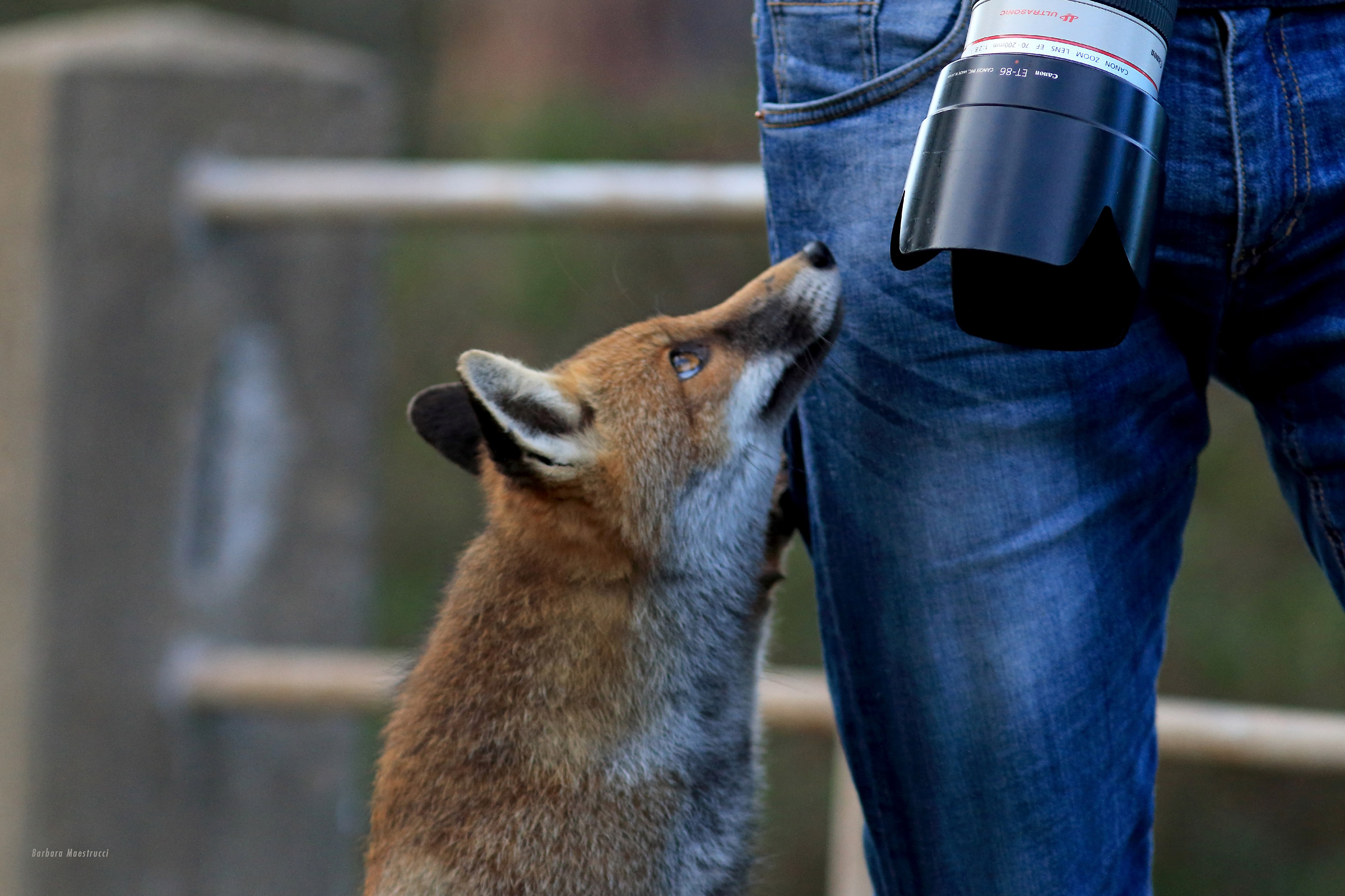 Hey but are you Canonist !!!! Can you take a picture of me ?...