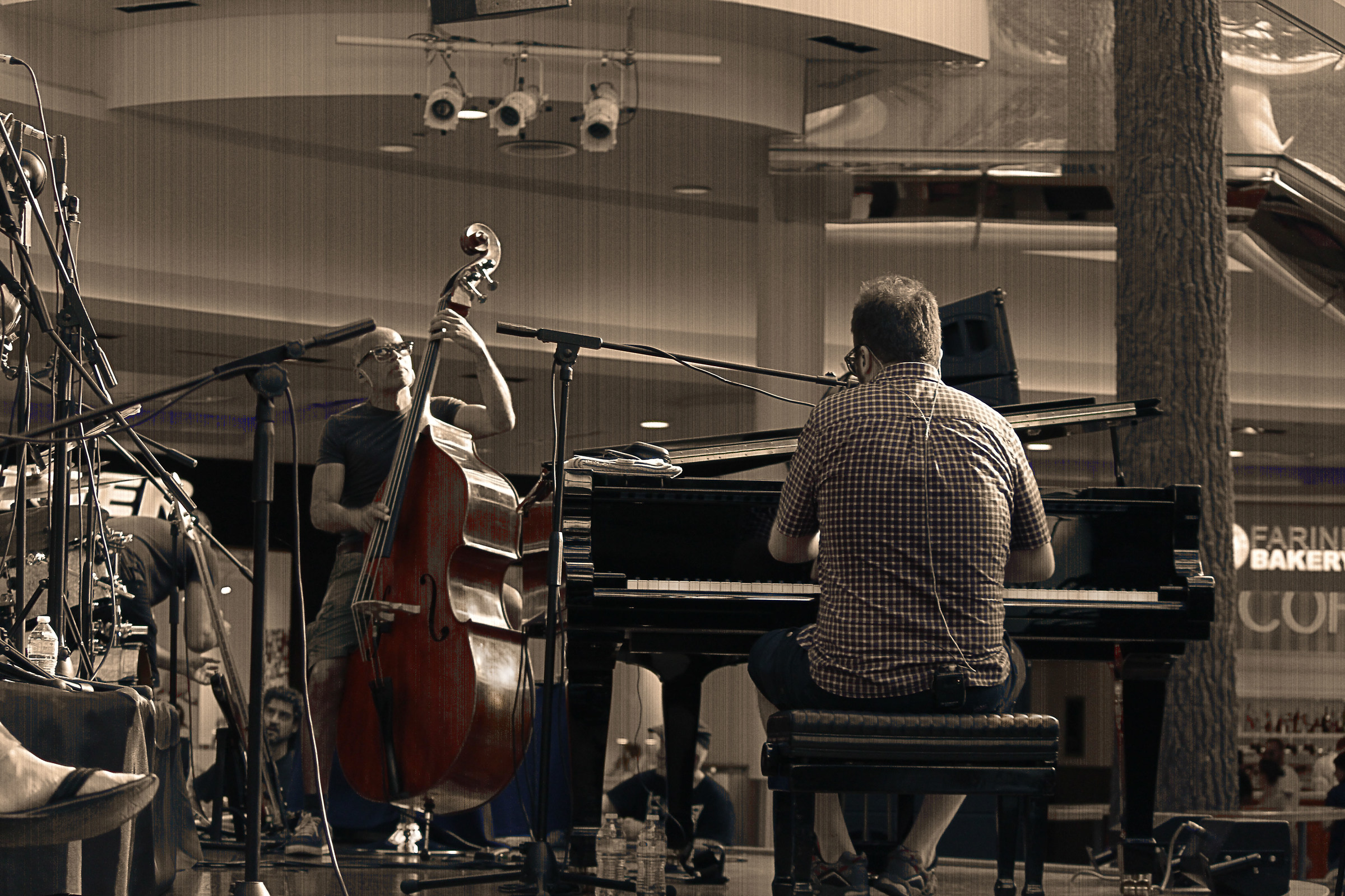 Raphael Gualazzi jazz