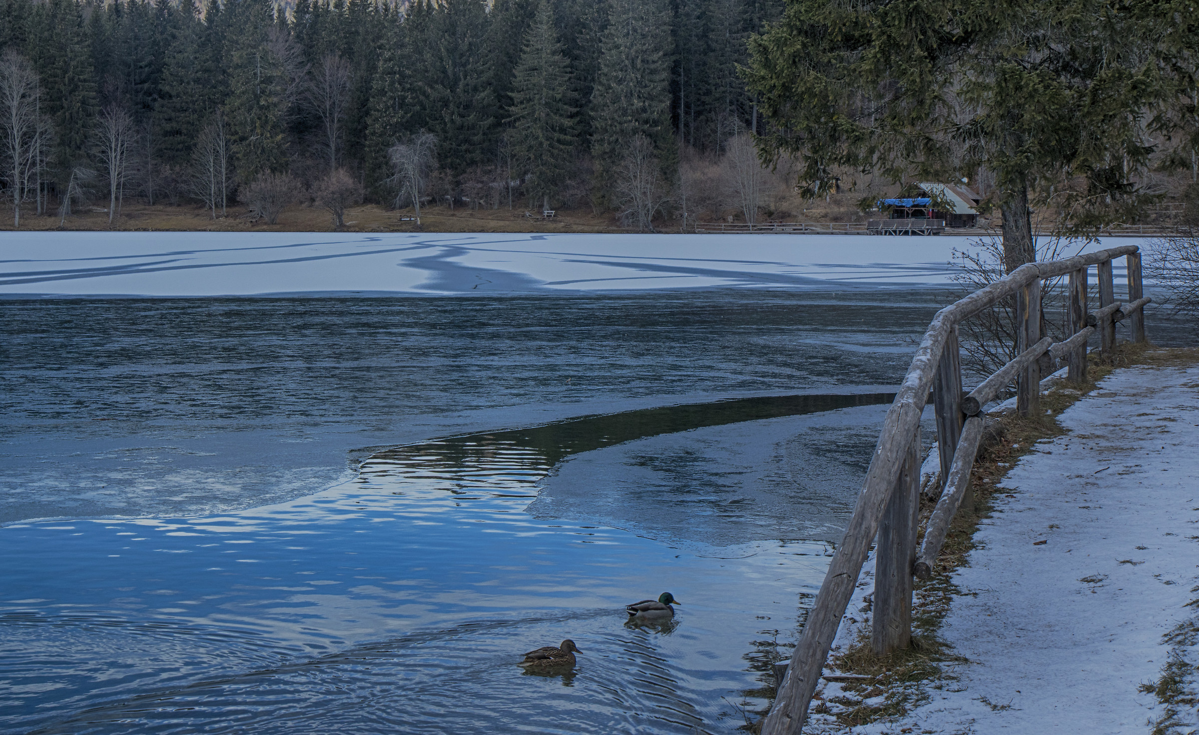 Passeggiata sul Lago