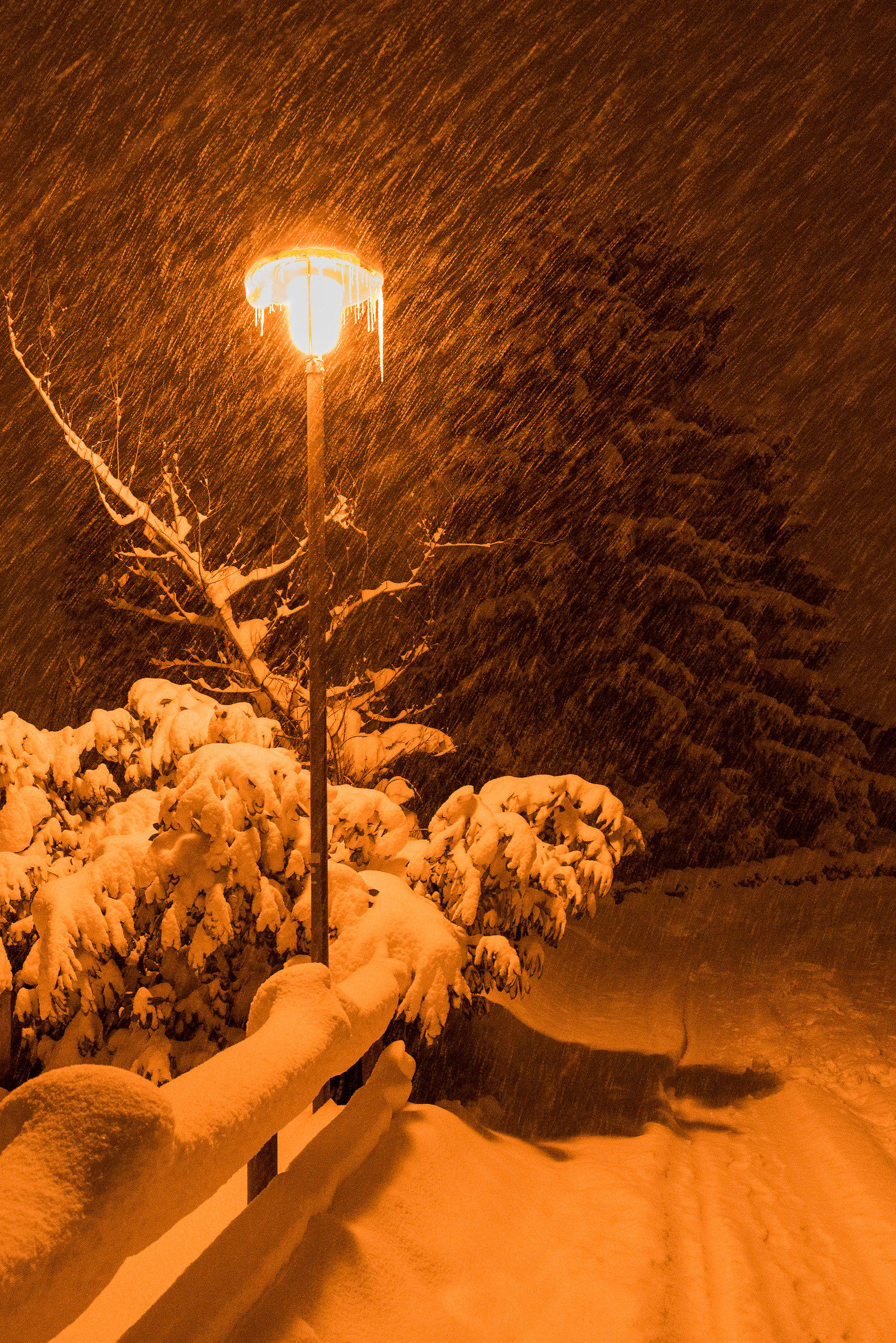 Finalmente è tornata la neve!