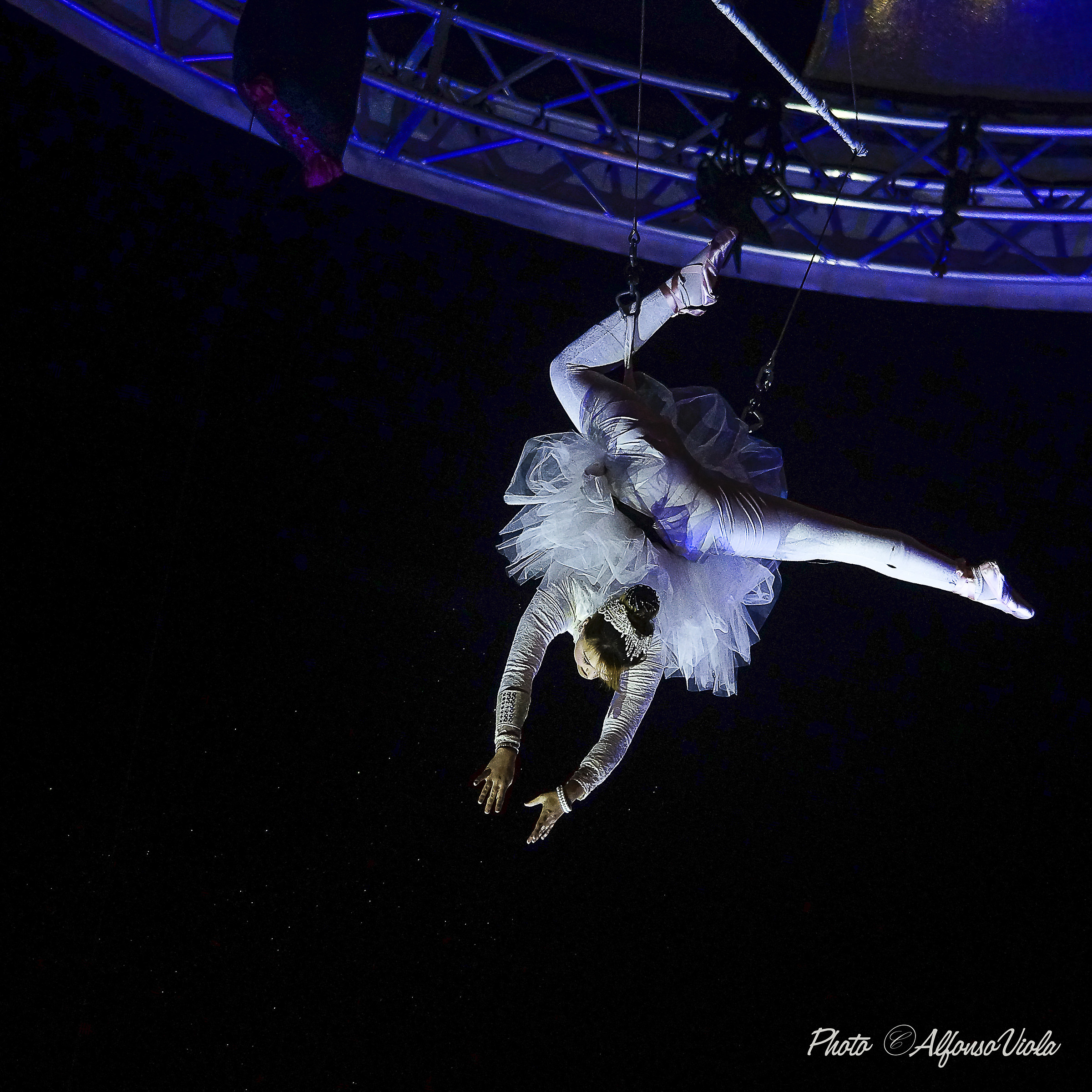 circus vertigo turin 2015