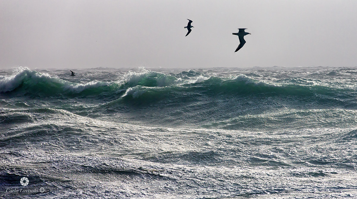 Flying on the Ligurian Sea storm