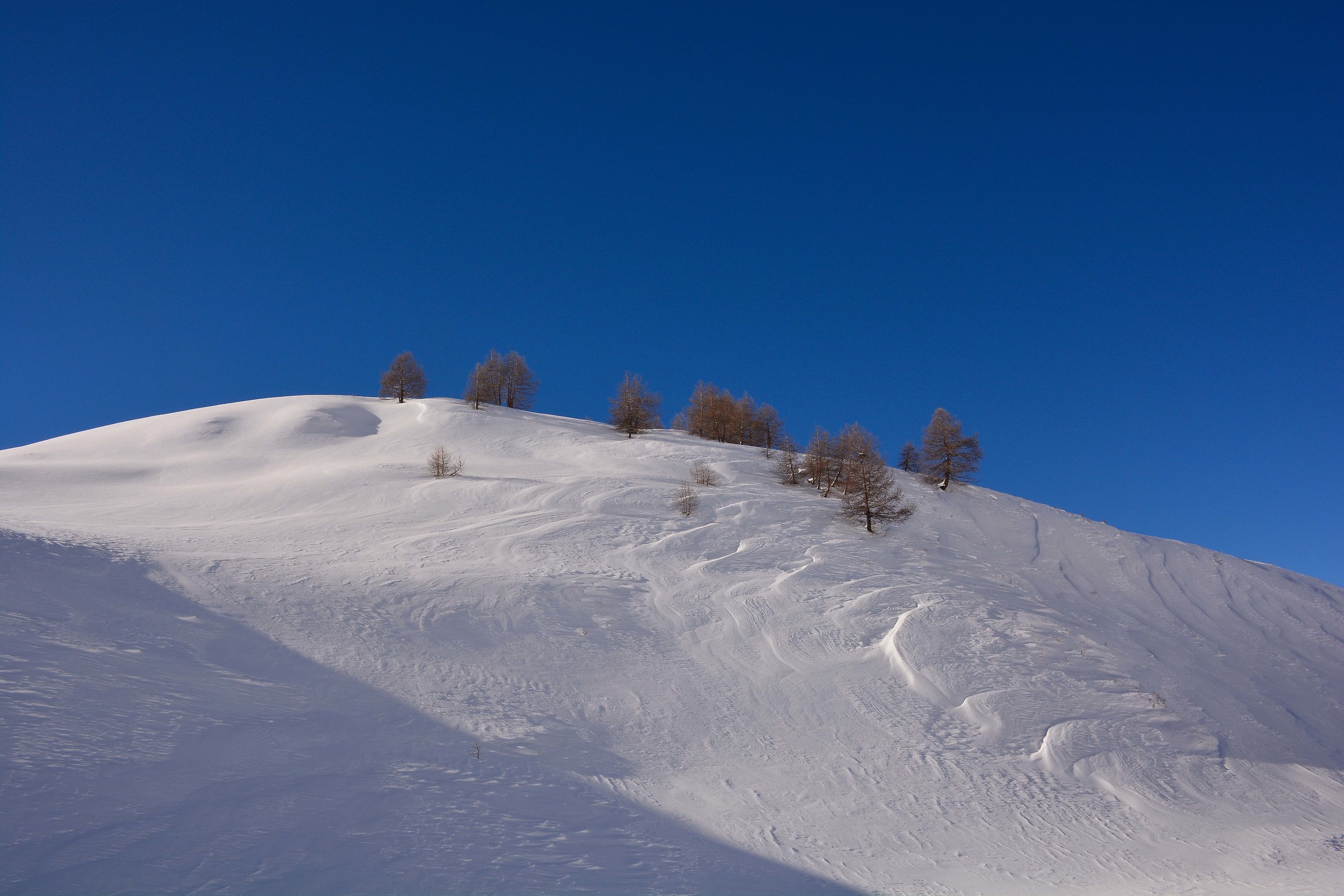 Una pennellata di neve