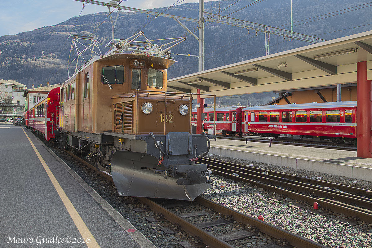 il coccodrillo del bernina