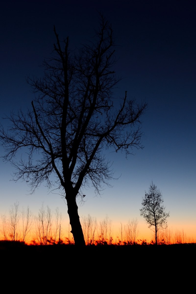 Father and Son at sunset