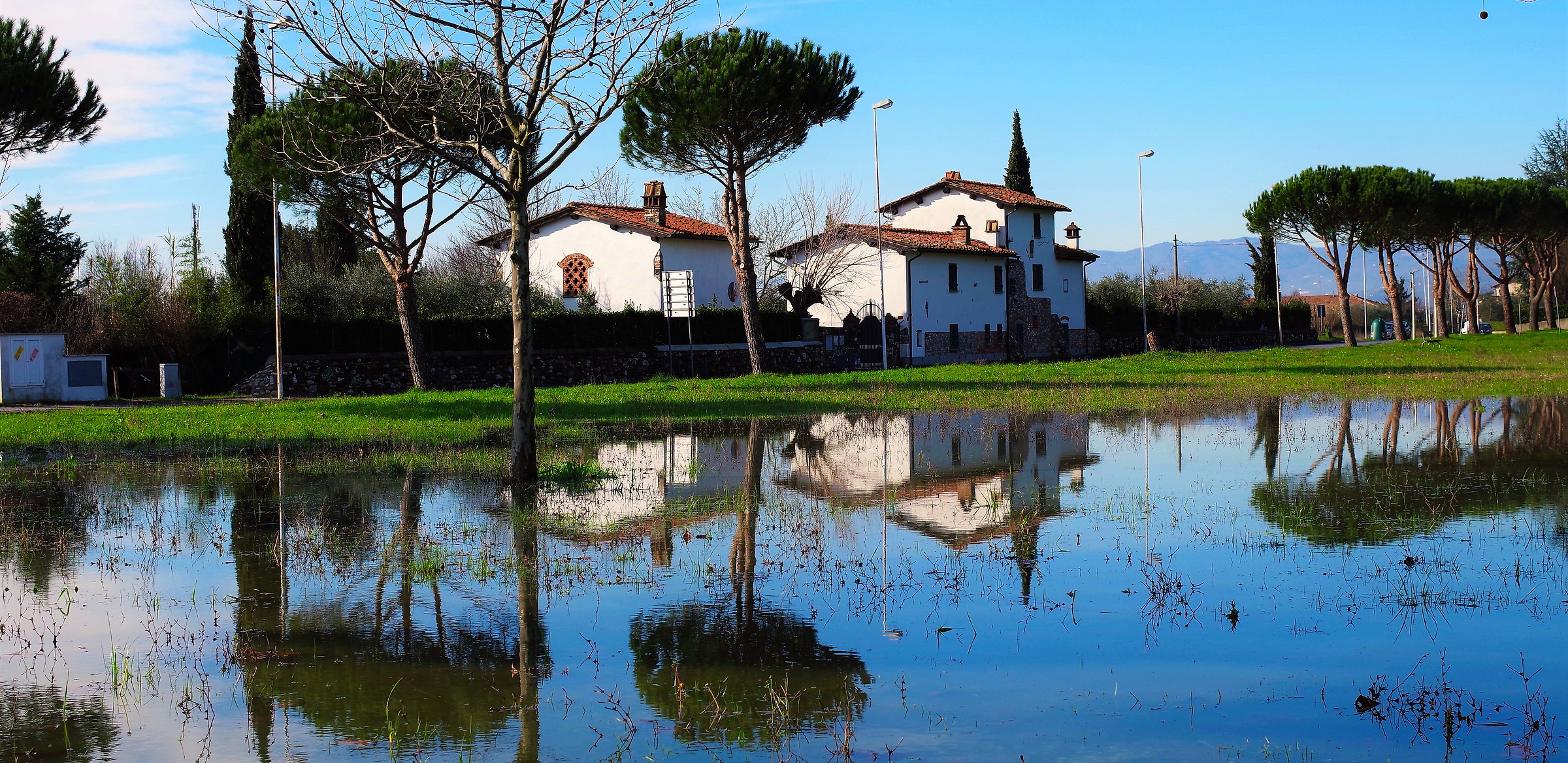 Reflections after the rain