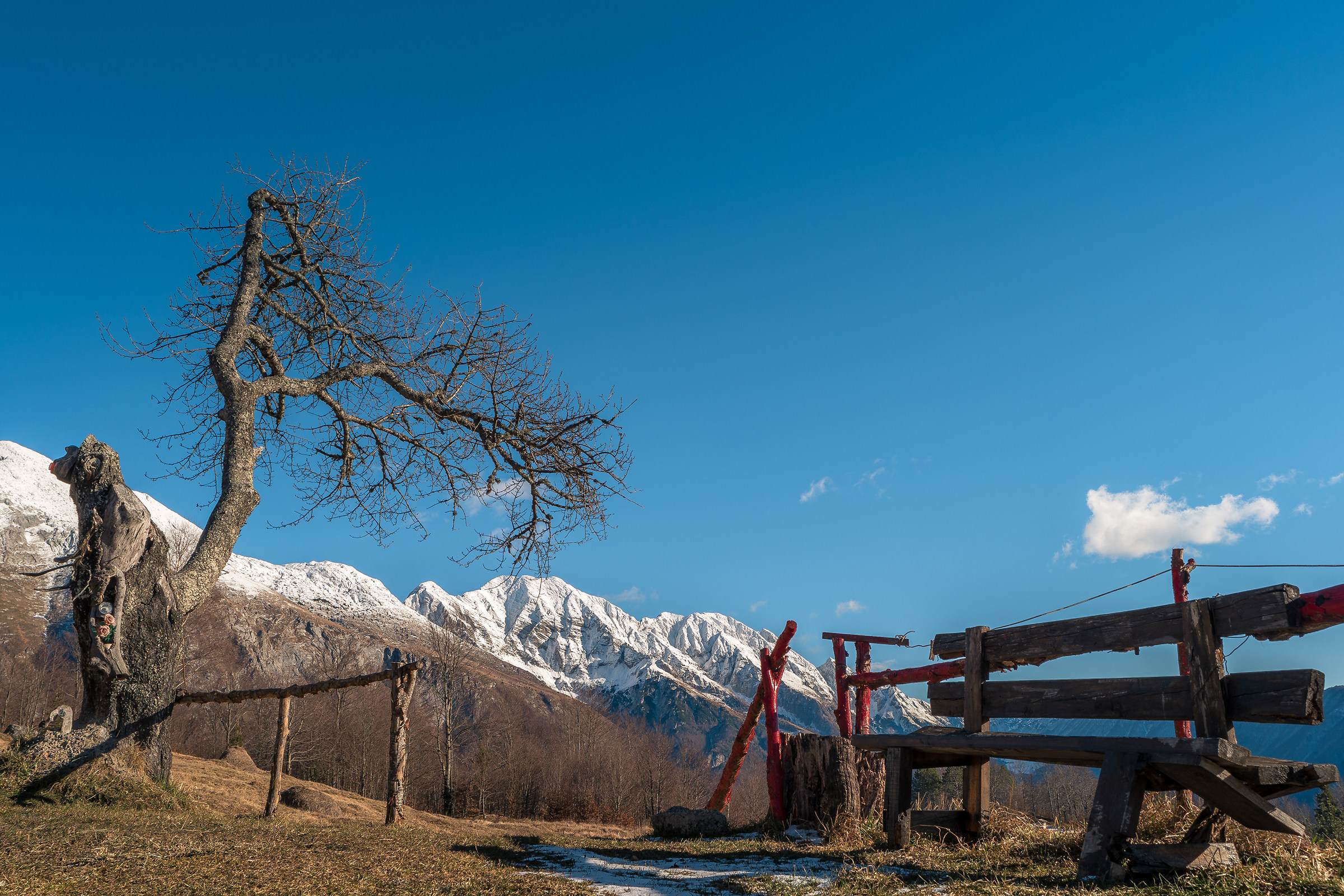 Monte Canin dall'altopiano del Pusti Gost