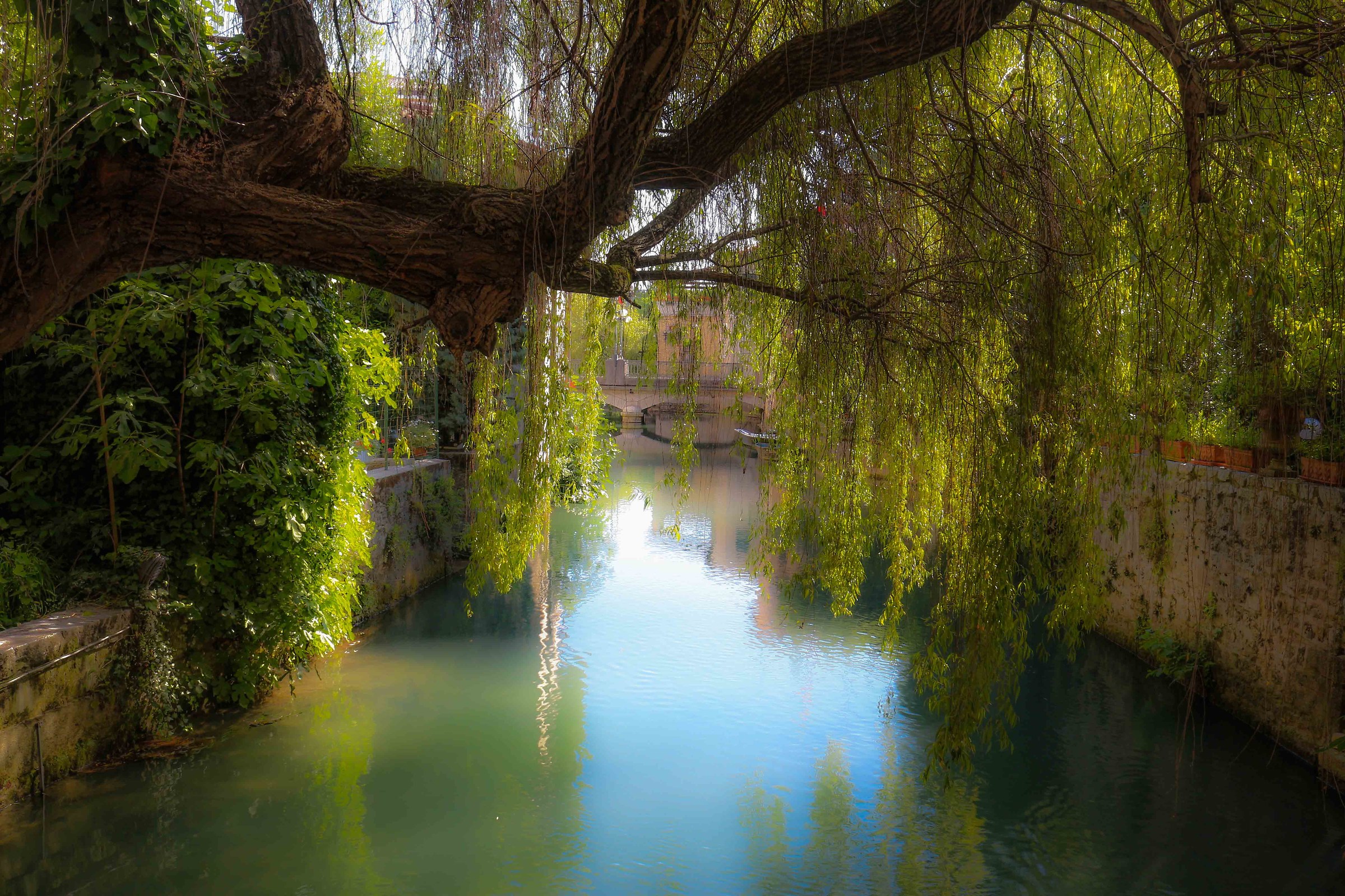 Overlooking the Livenza