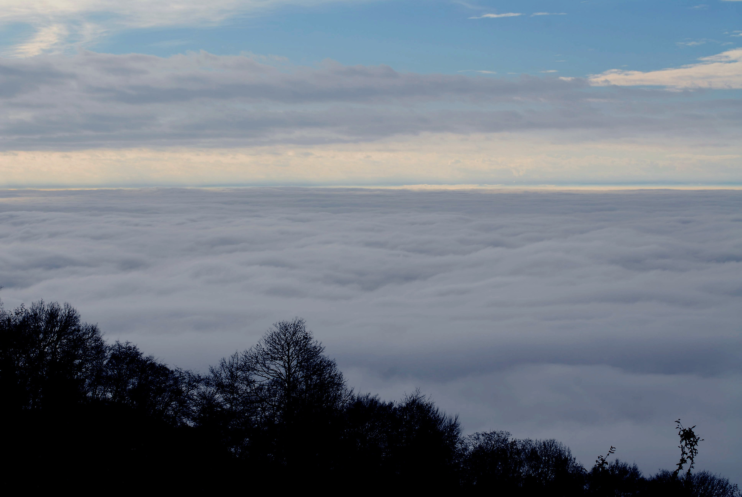 Fog in the Po Valley