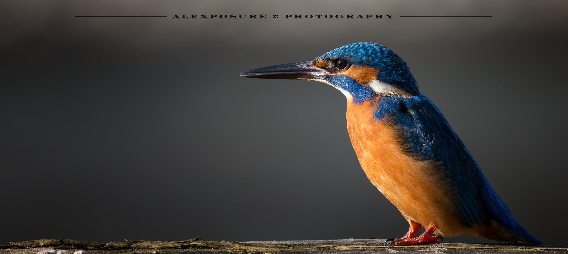 Il Martino a modo mio