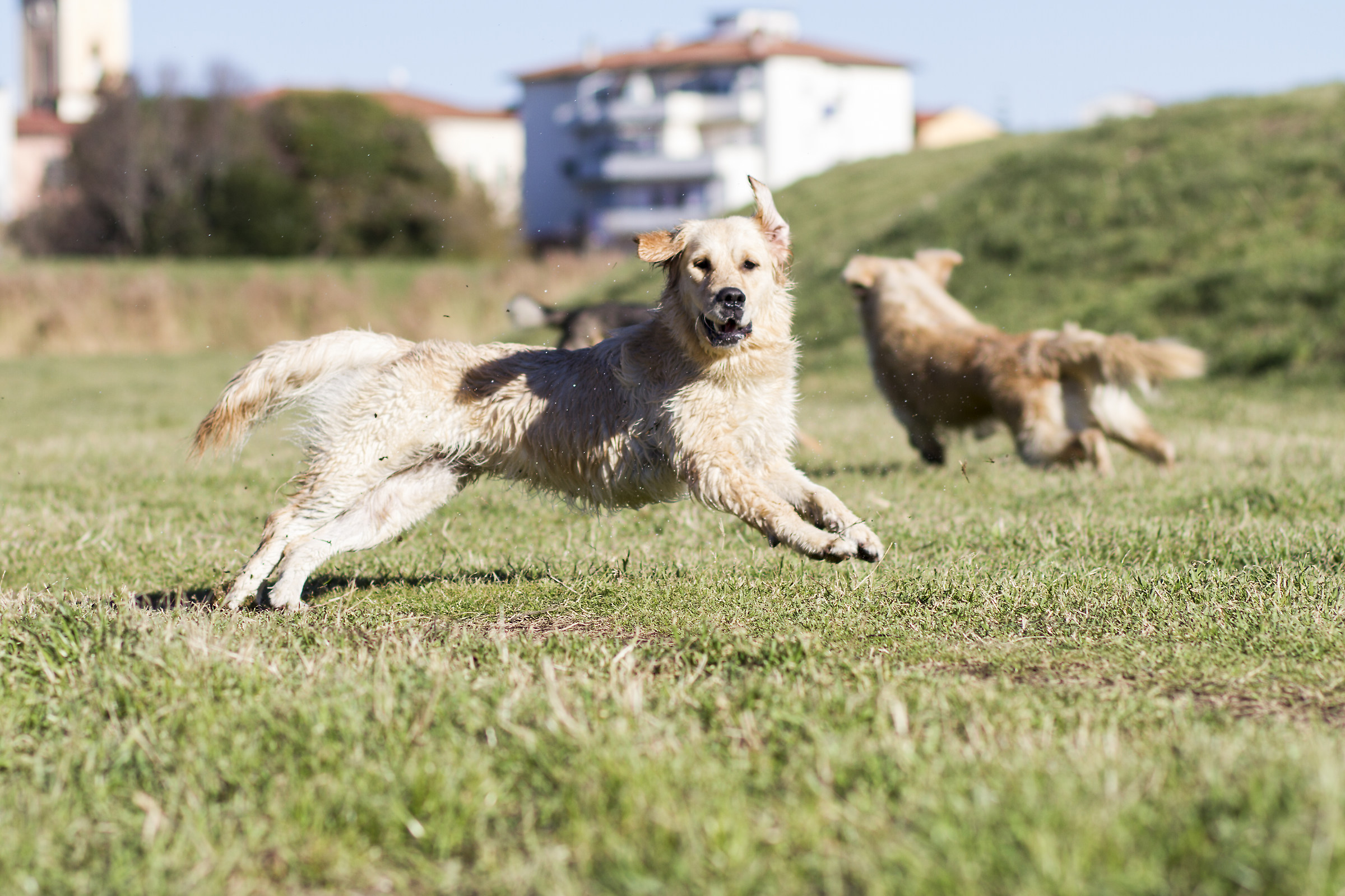 I'm beautiful? I'm beautiful?