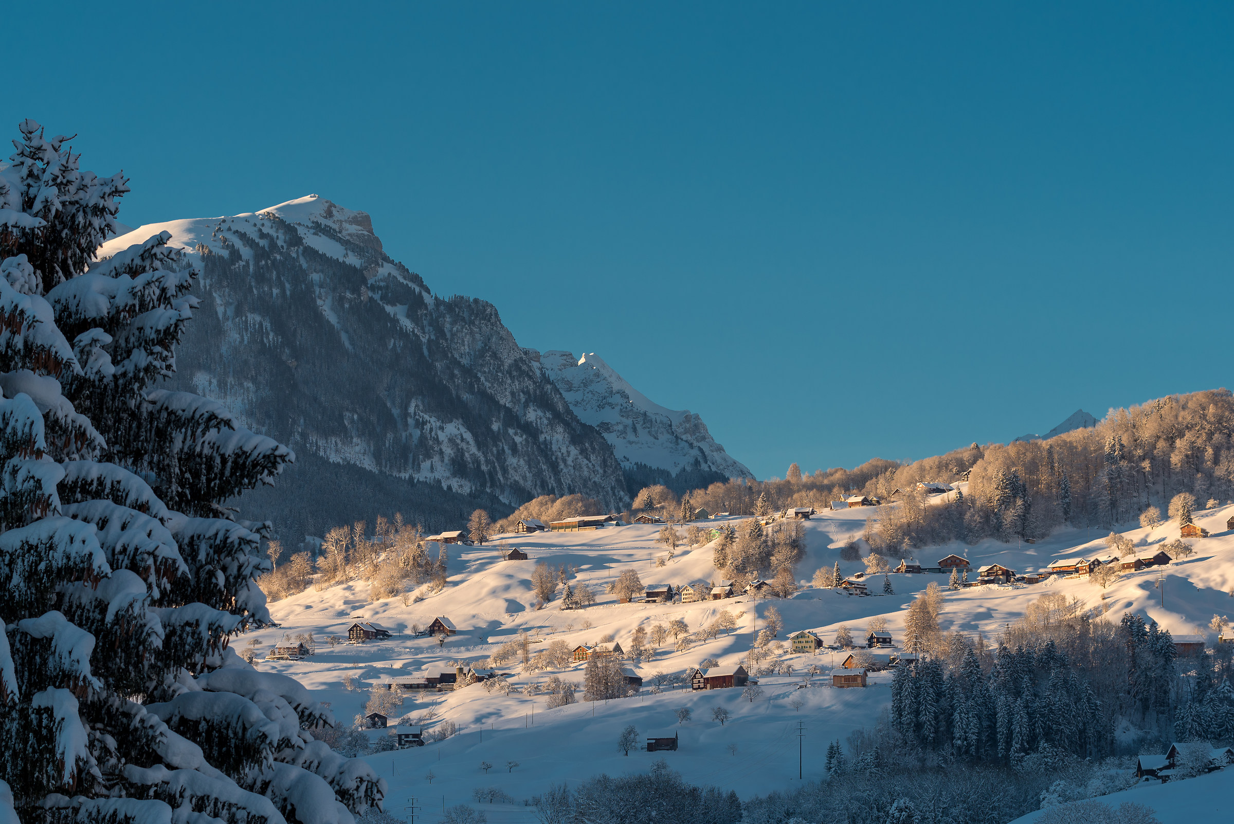 Finally returned the snow! 2