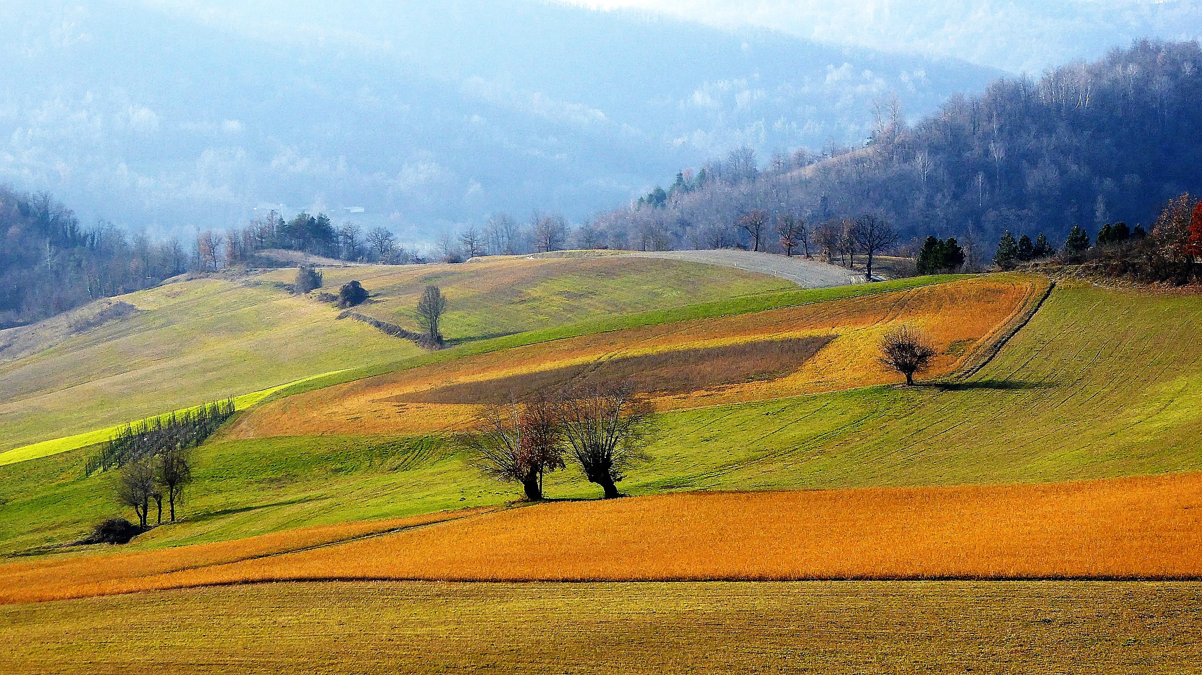 Monbasiglio prati in autunno