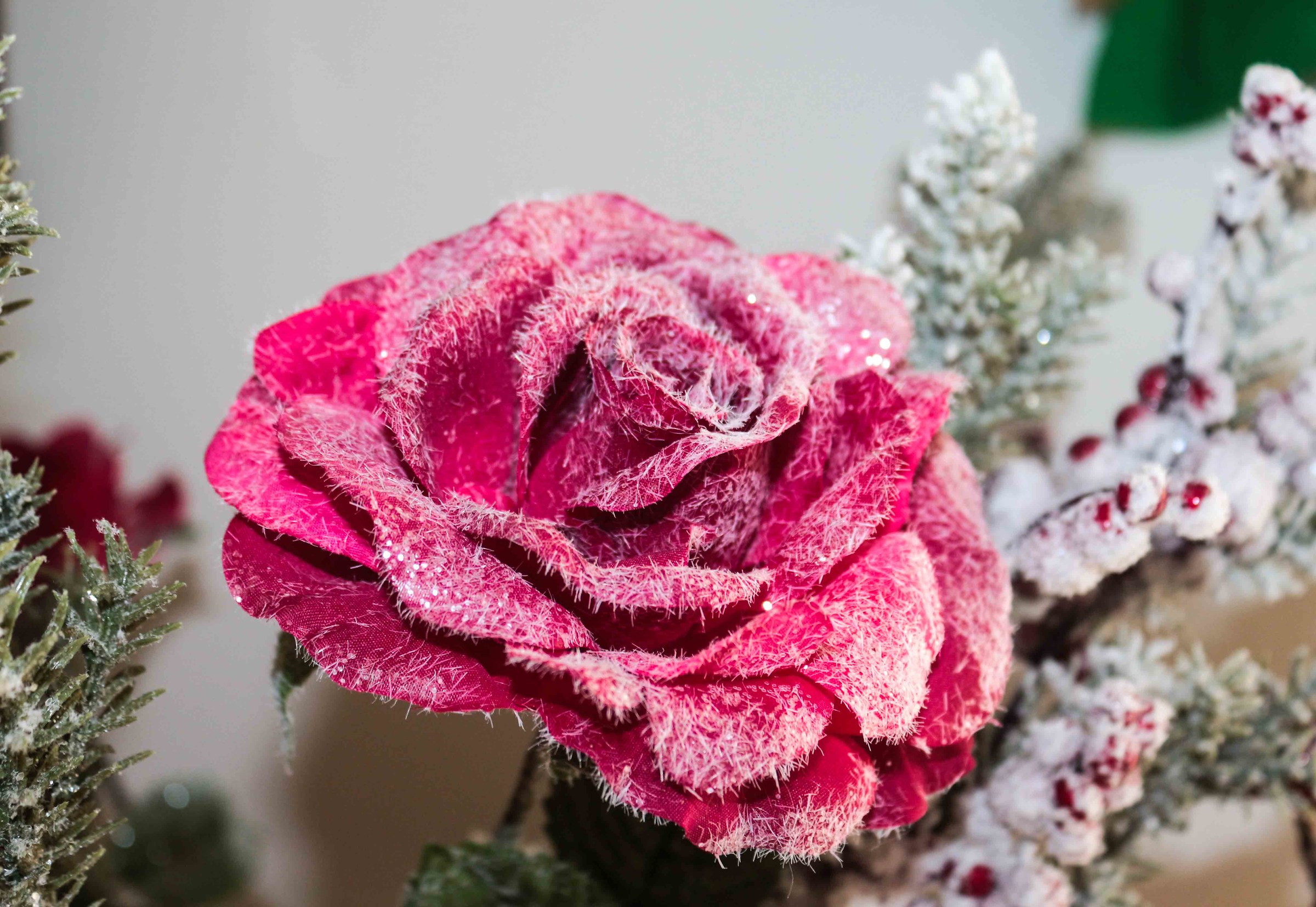 Frozen rosa