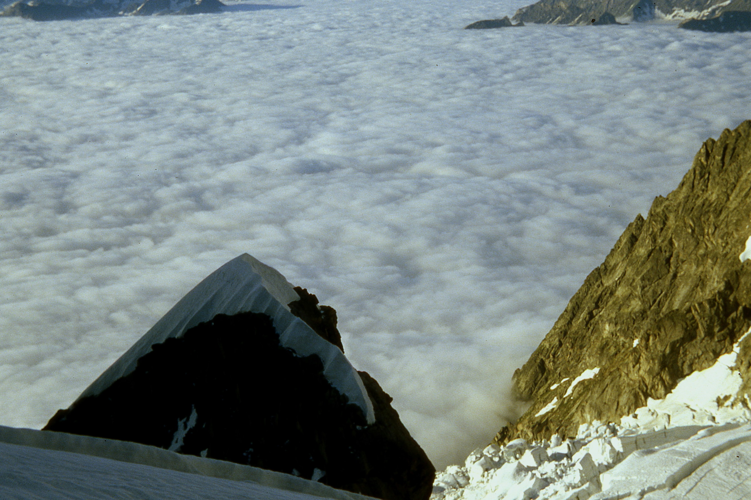 salendo alle Jorasses veduta della Boteil