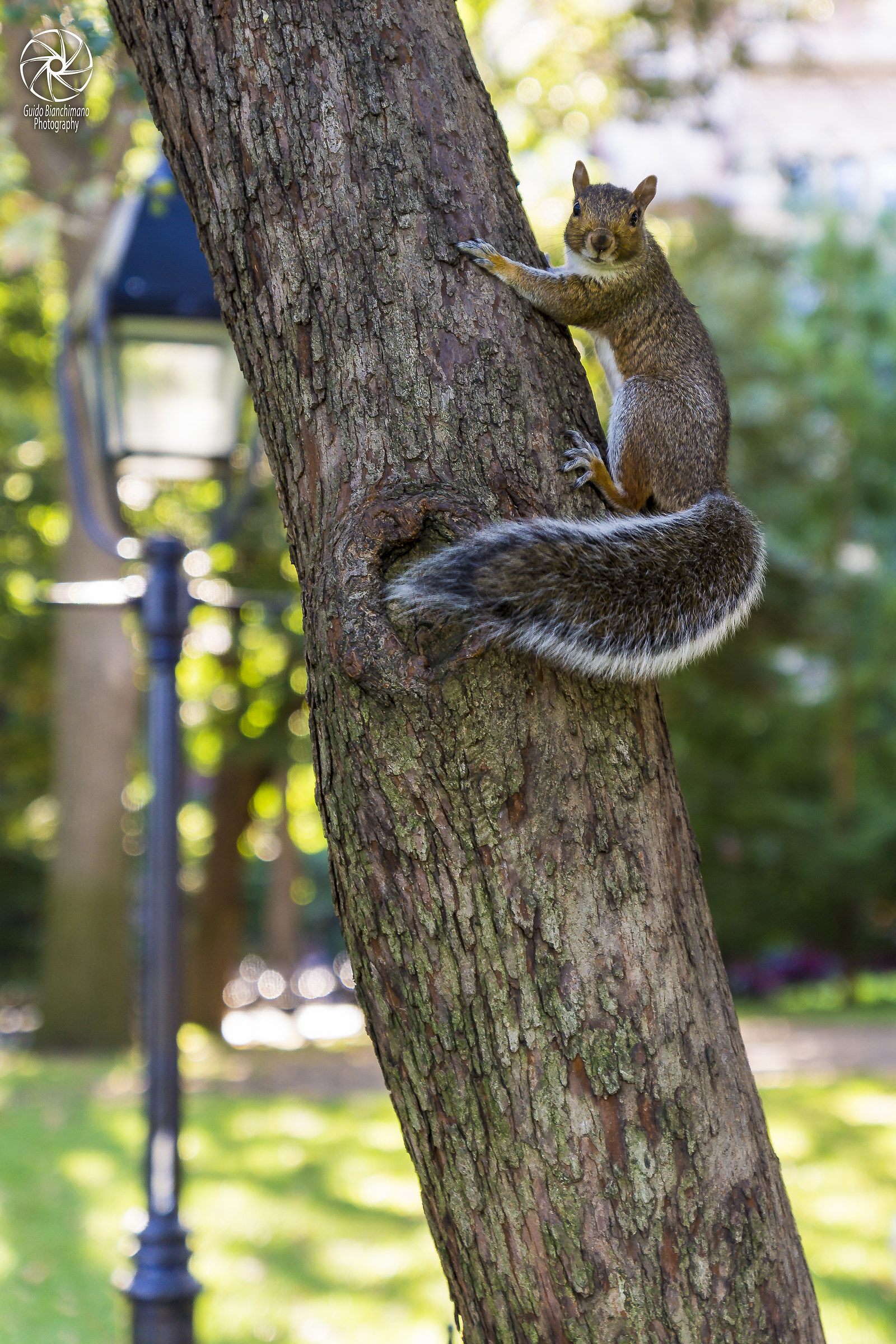 "Tanto non mi prendi"