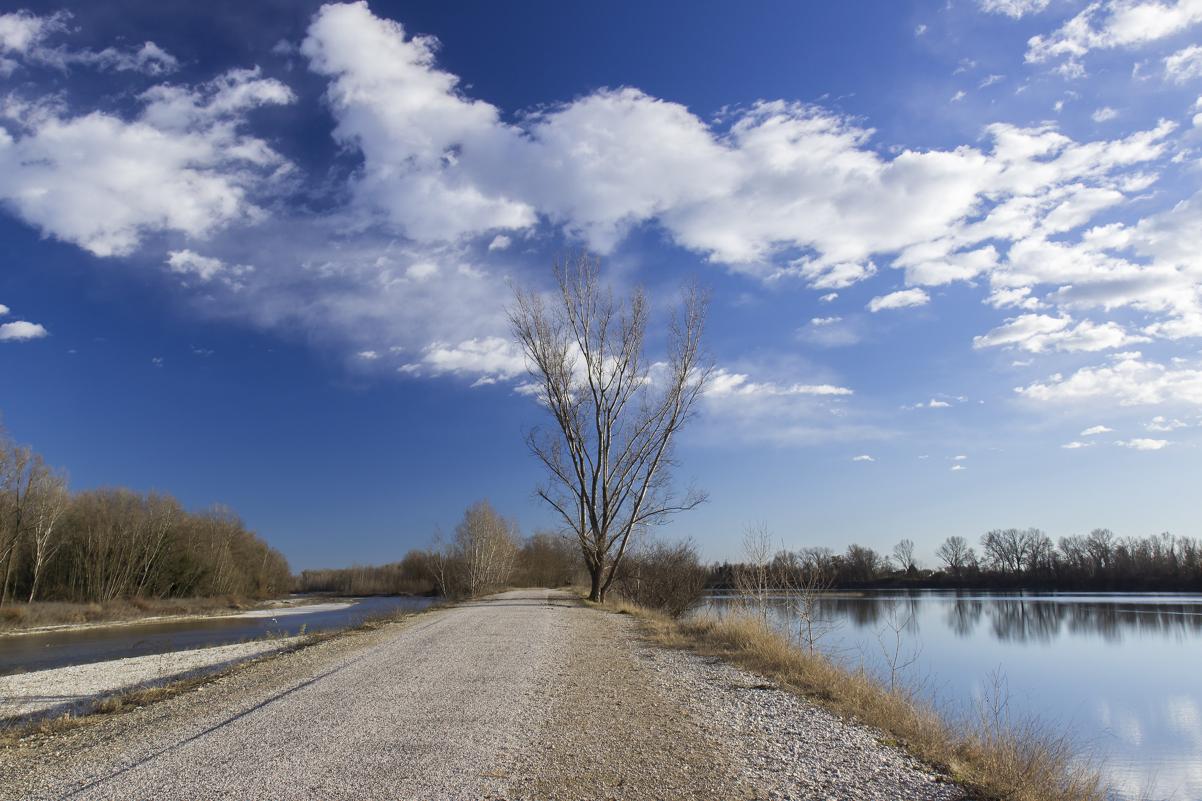 Una estiva giornata invernale