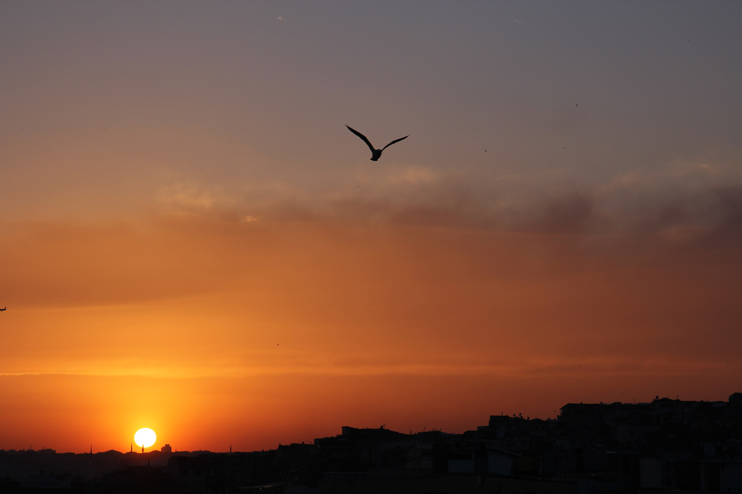 l? last flight of the evening