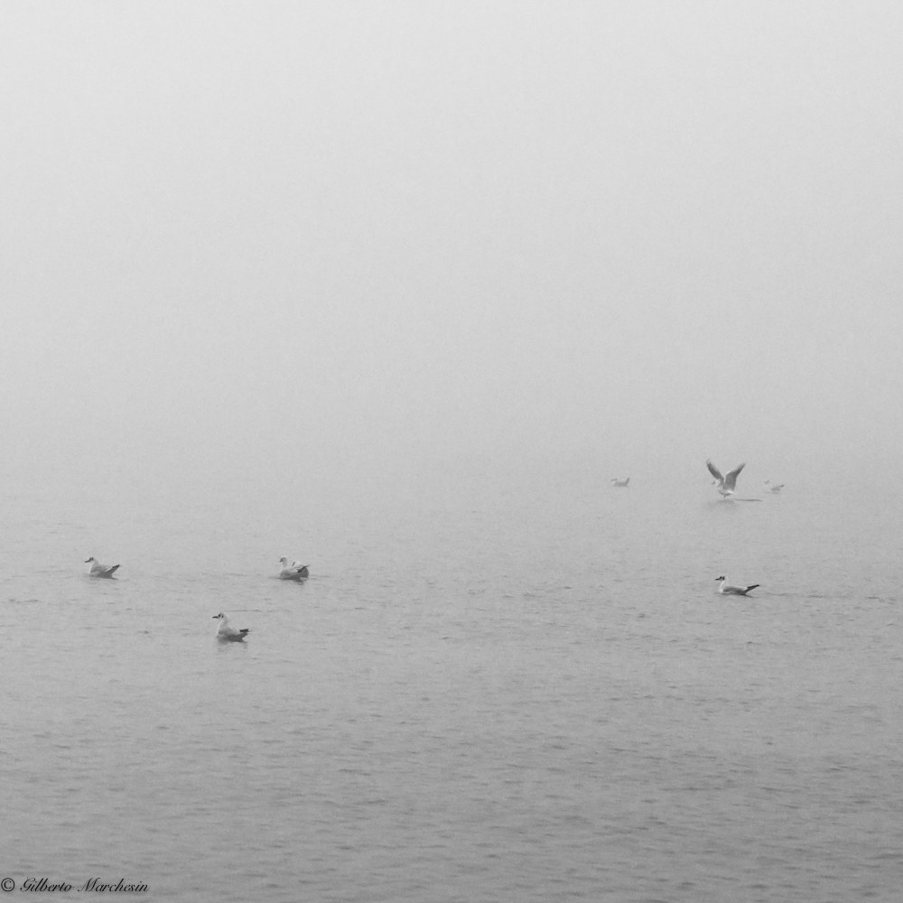 The essential lax nothing