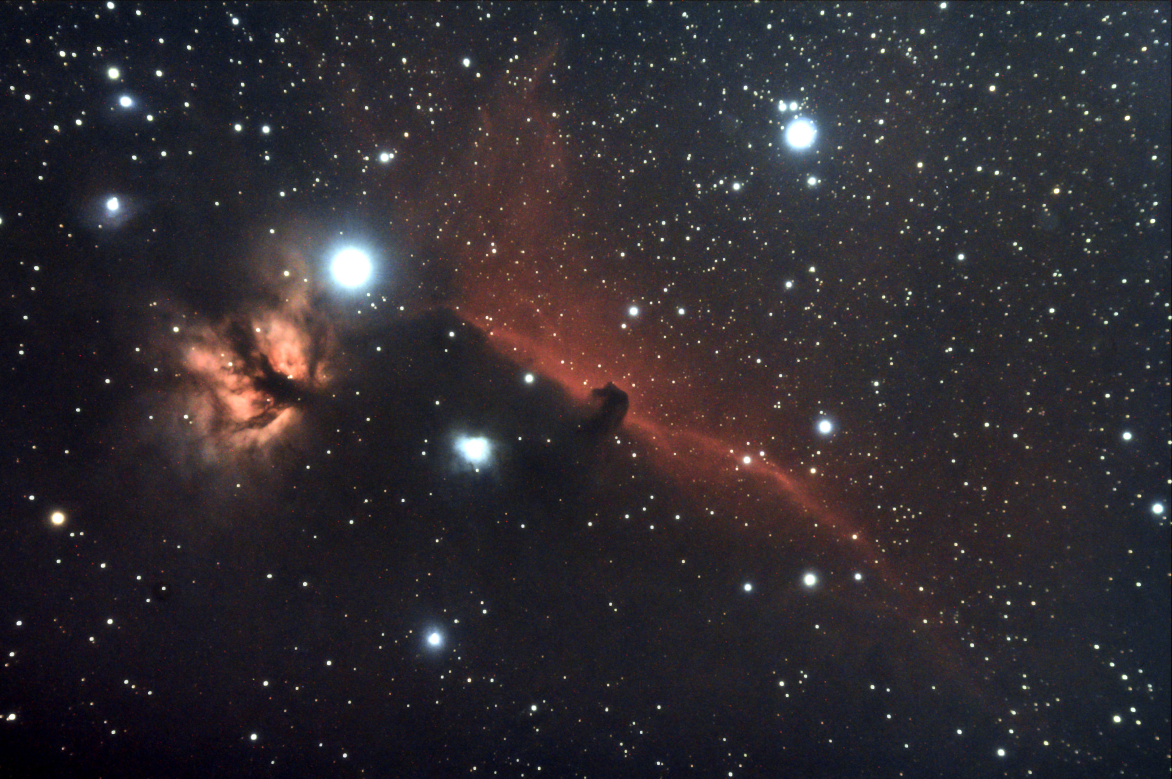 Flame Nebula & Horsehead Nebula