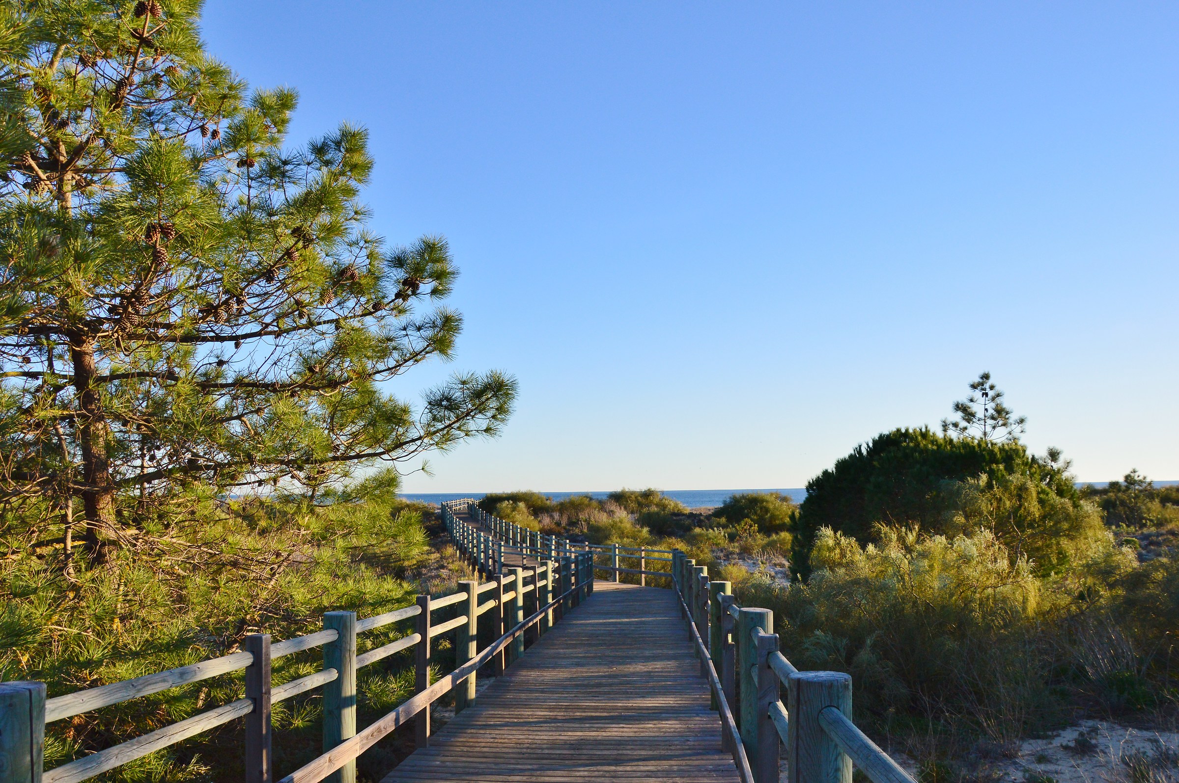 boardwalk over the dunes at the beach of Monte Gordo