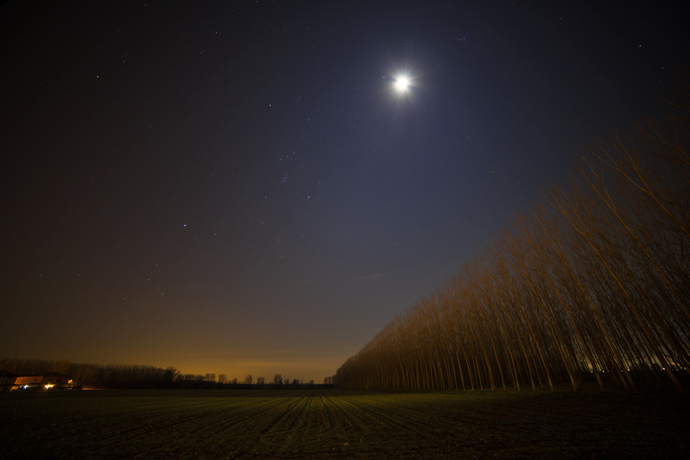 night in low Modena