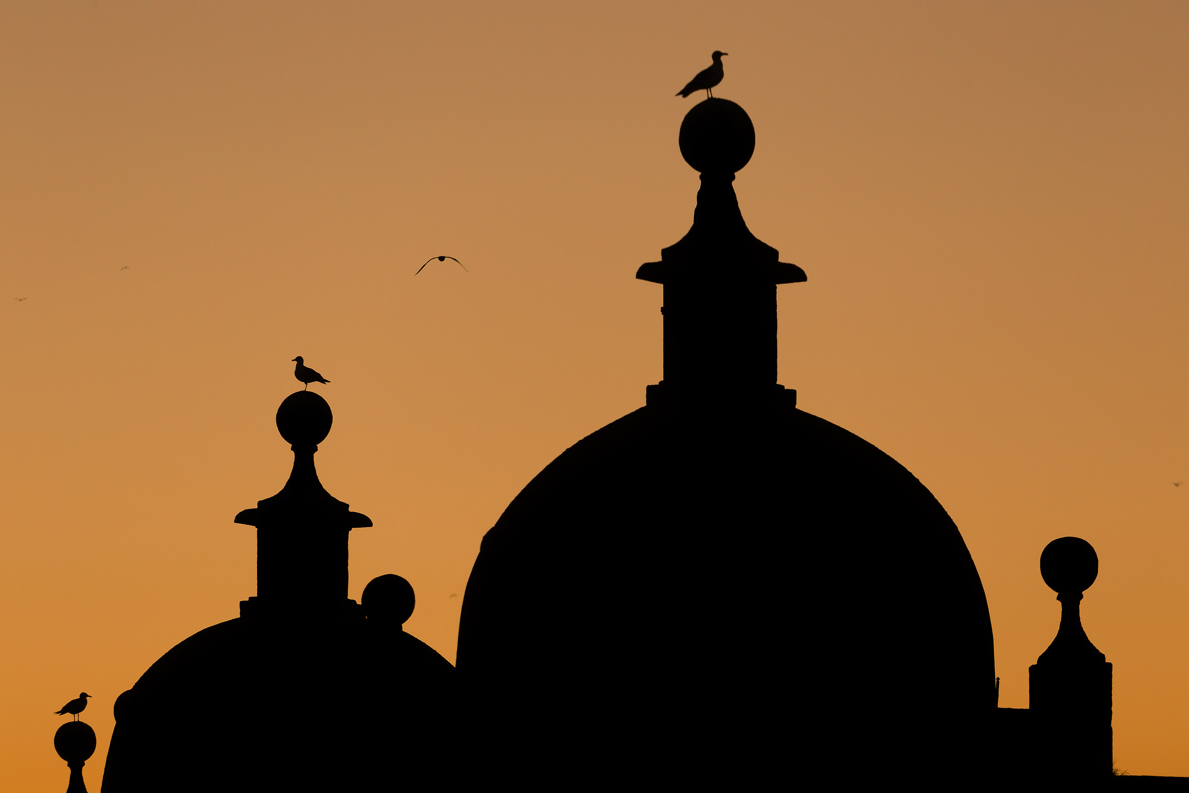 Igreja dos Grilos - Porto - Dicembre 2015