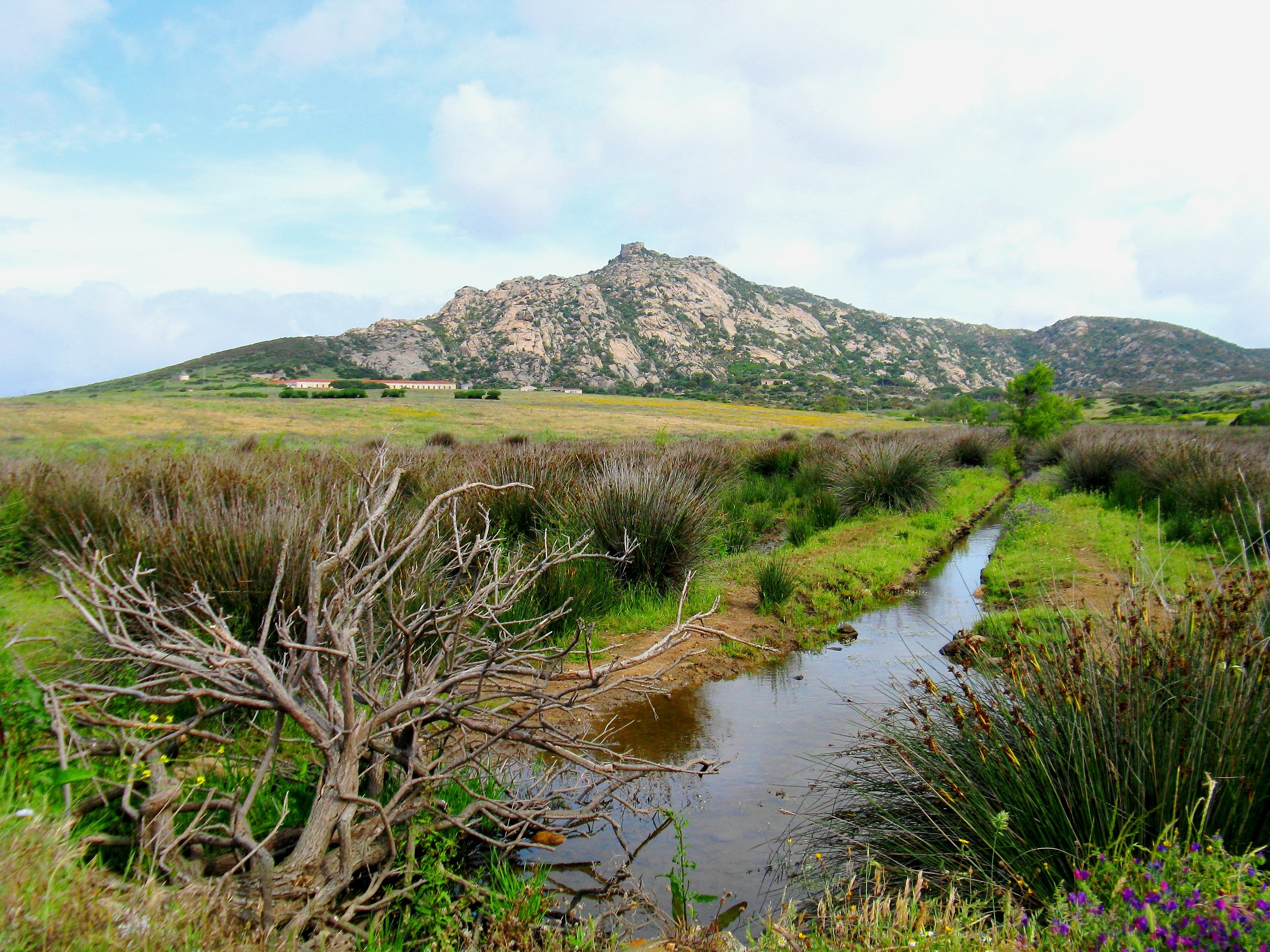 Landscape and composition
