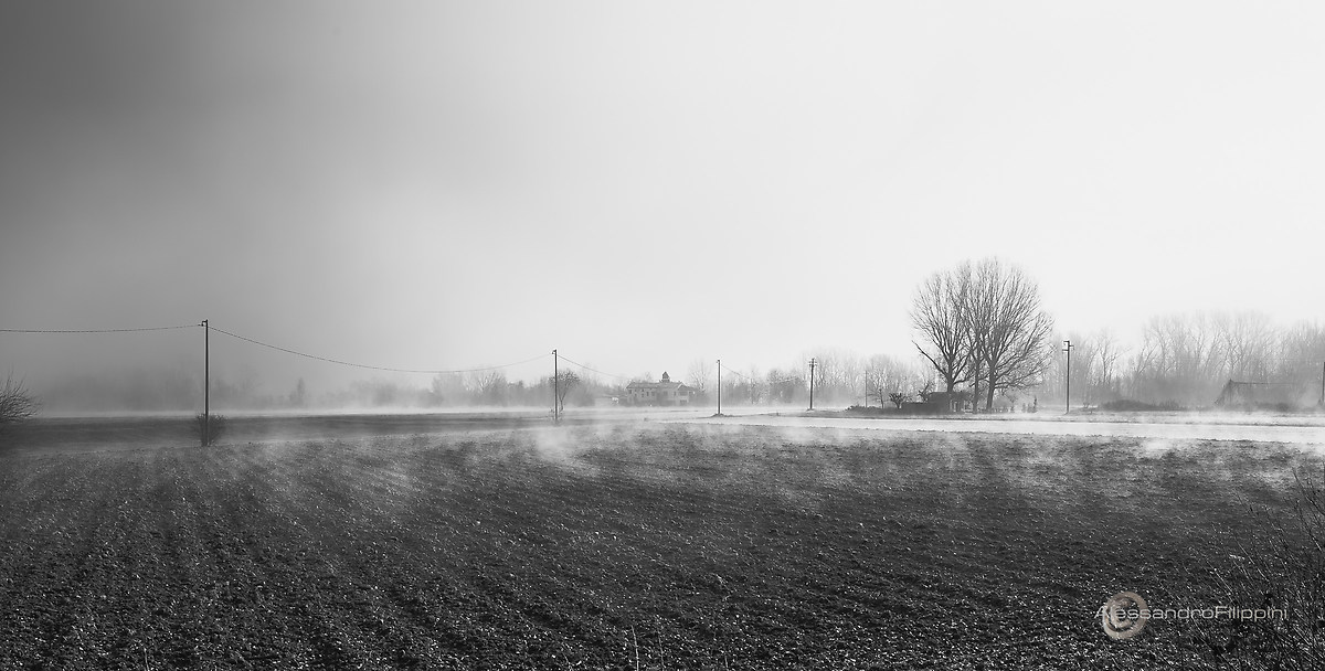 The fog that runs away