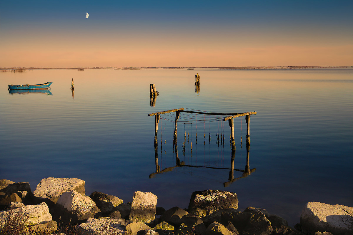 Po Delta - Sacca of Scardovari