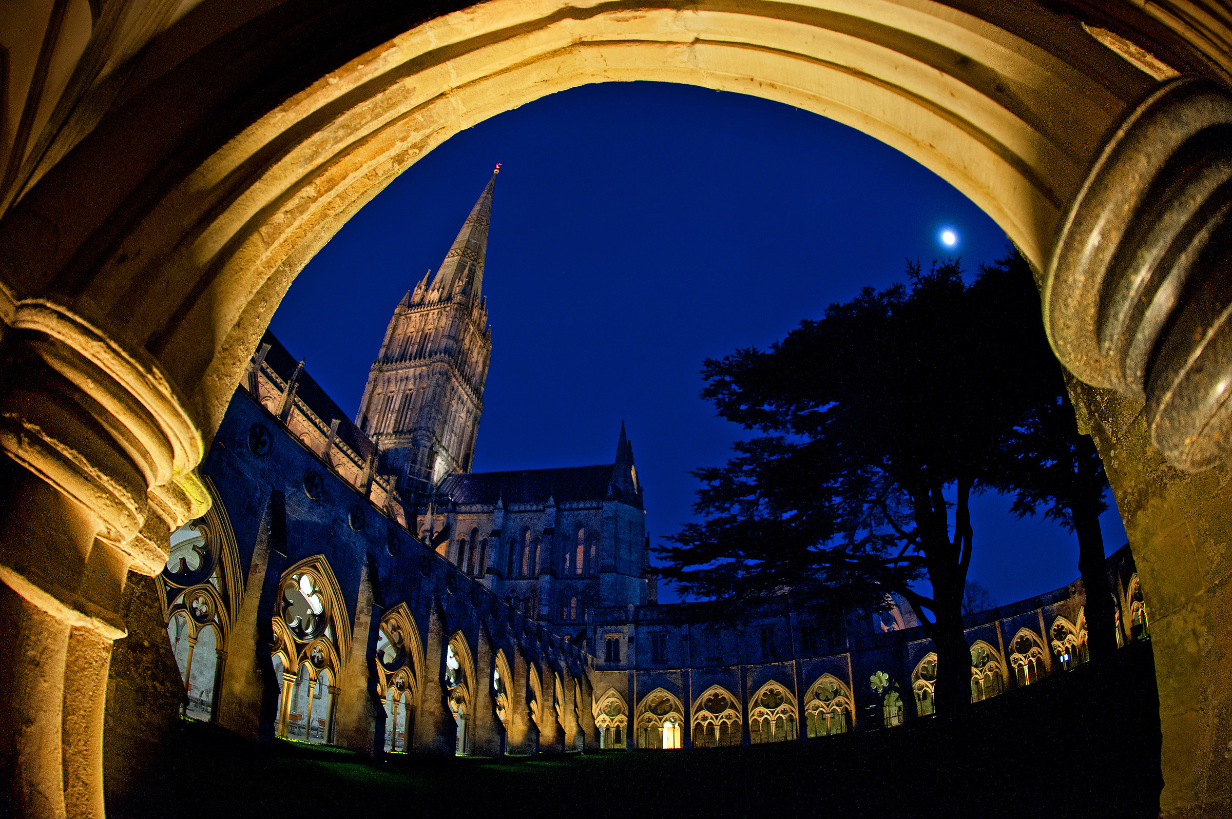 Through the Curve of the Cloisters (with Moon)