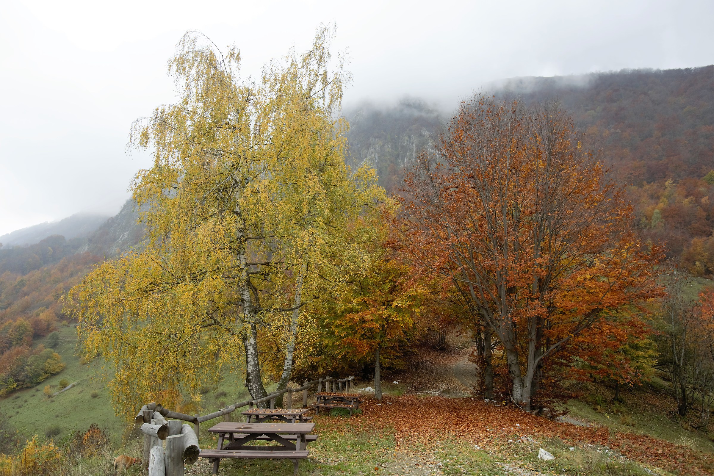 Autunno alle Goderie tra Roaschia e Vernante