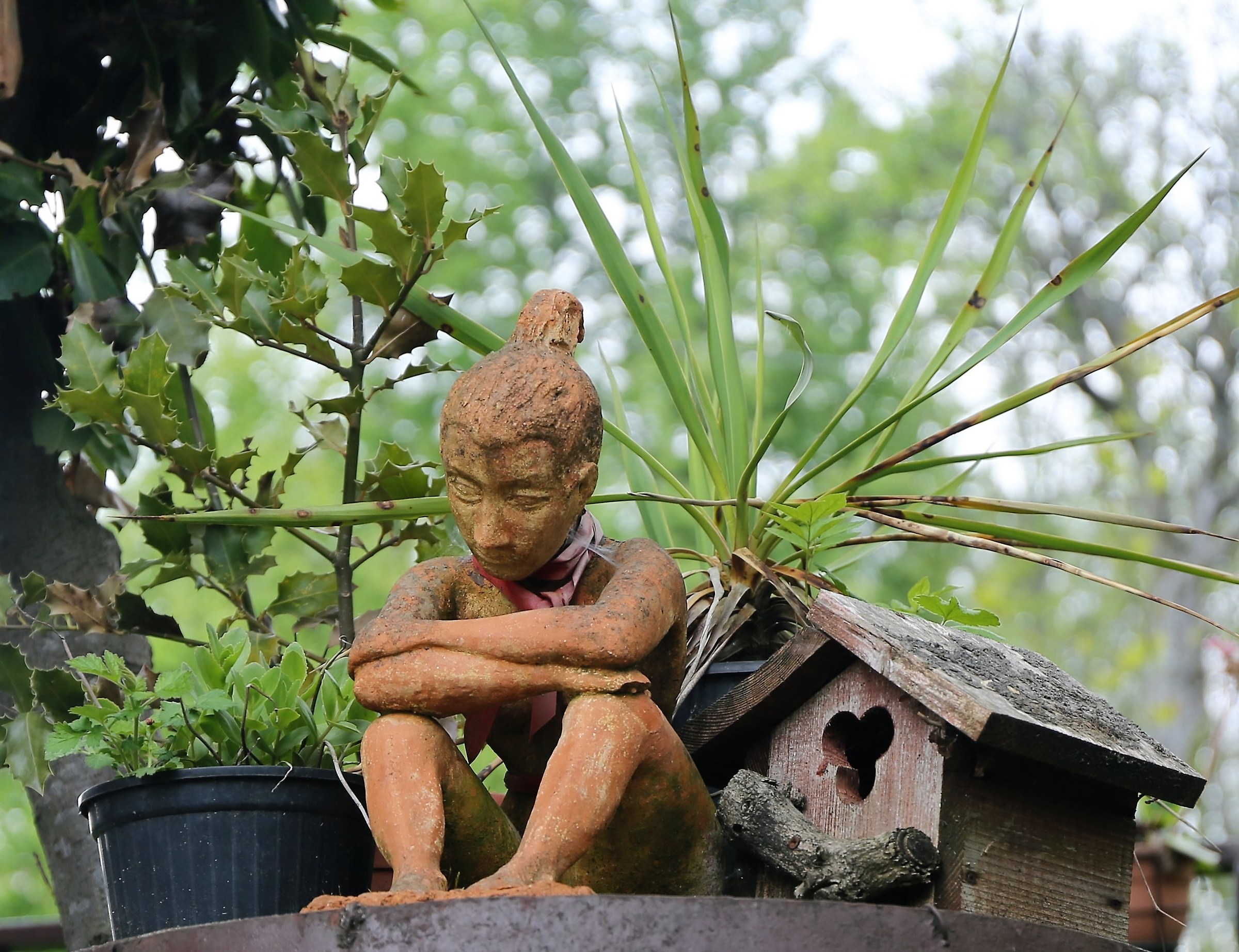 Tetto Avvocato Aradolo Borgo San Dalmazzo