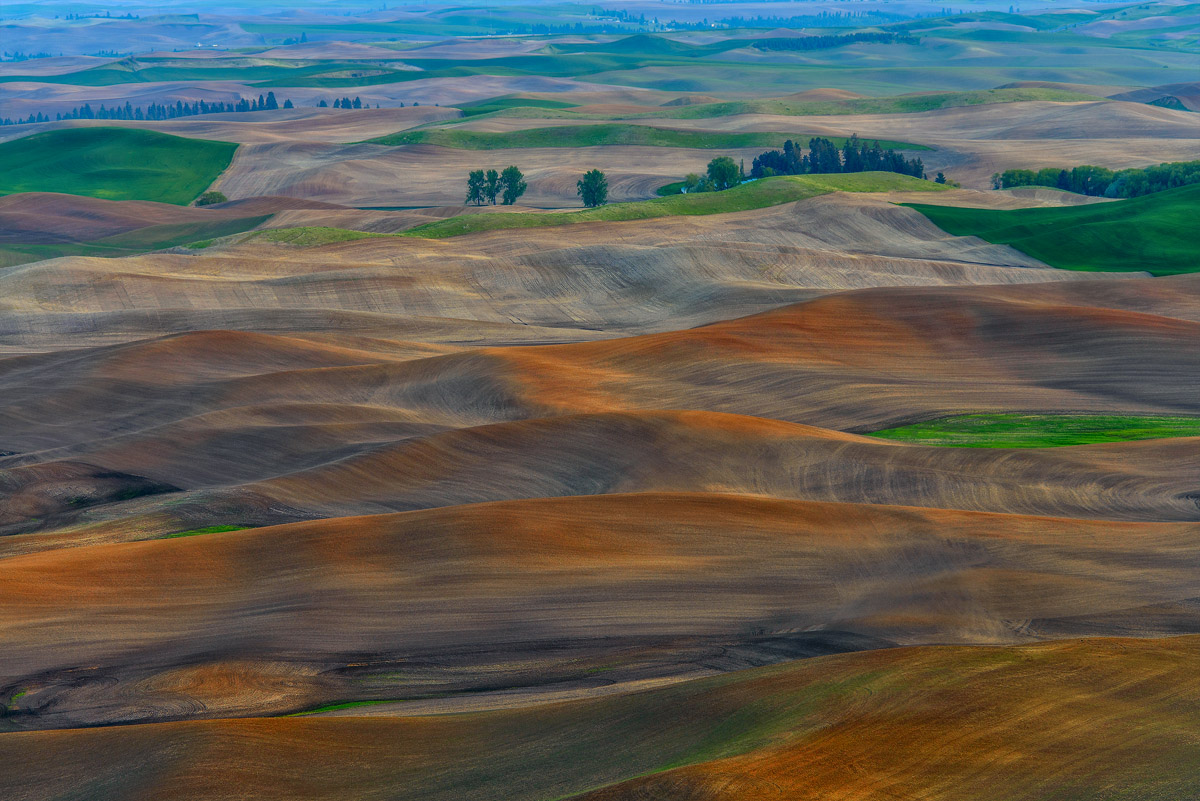 Palouse, WA