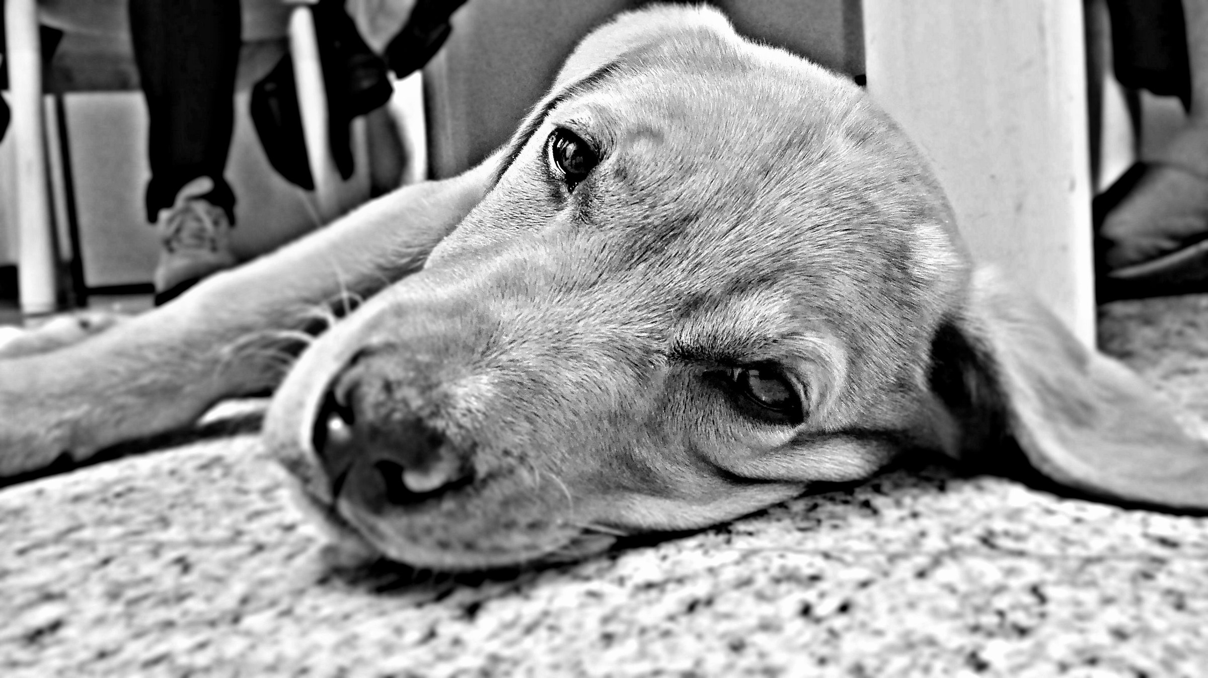 addii e nuovi inizi..