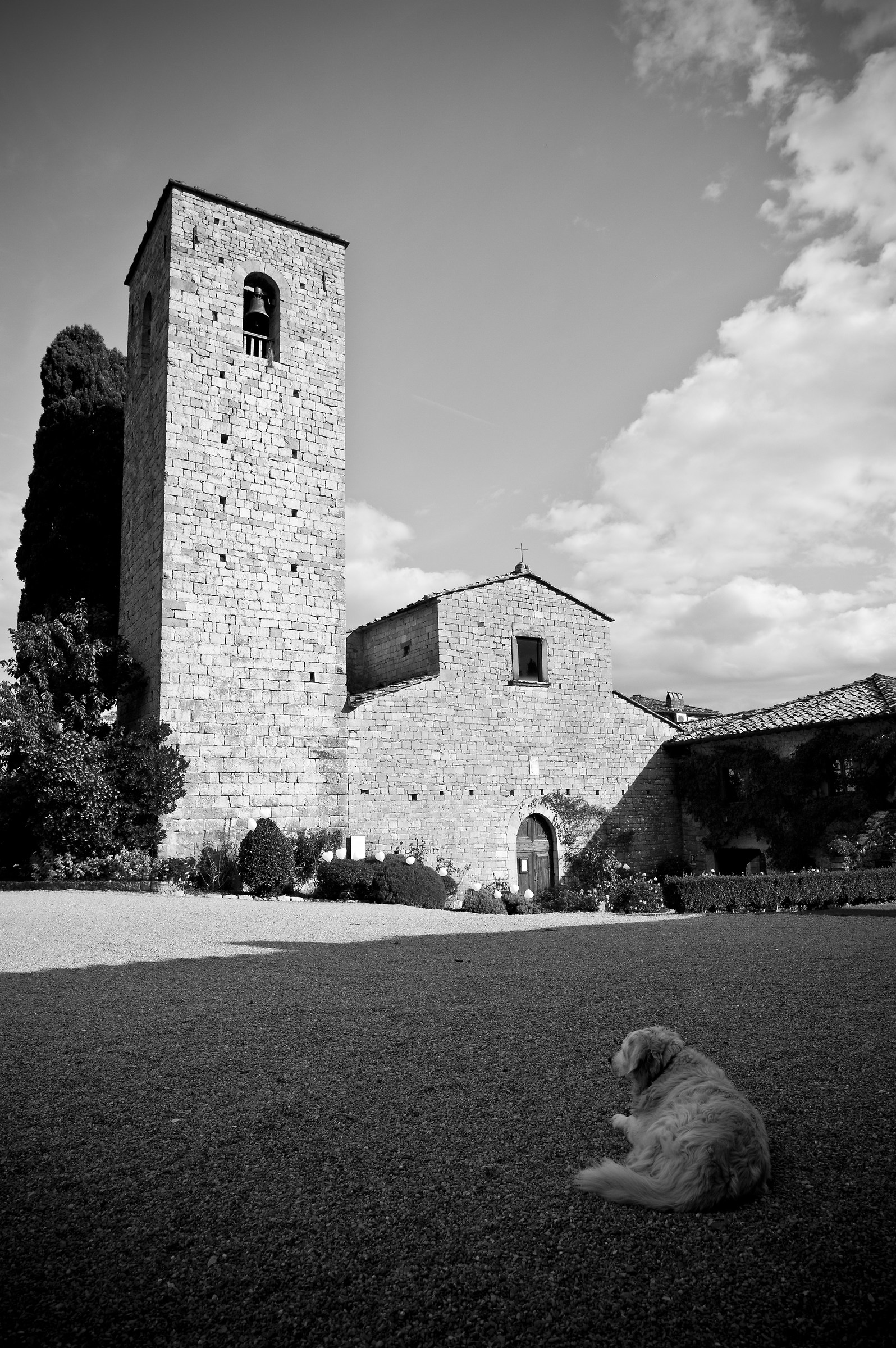 La tranquilla attesa