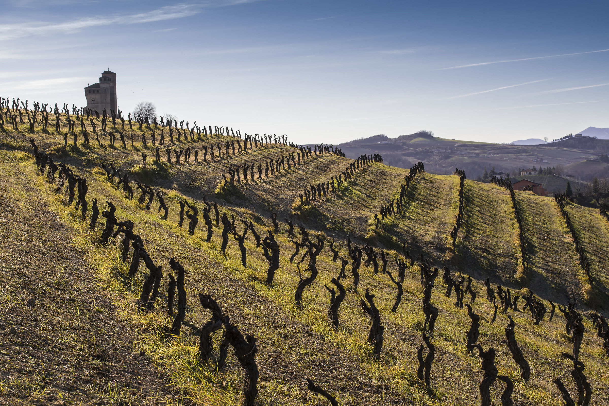 Dopo anni di onorato servizio!