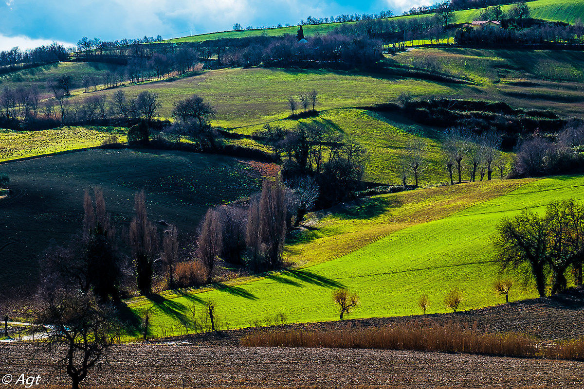 This land is my land ...