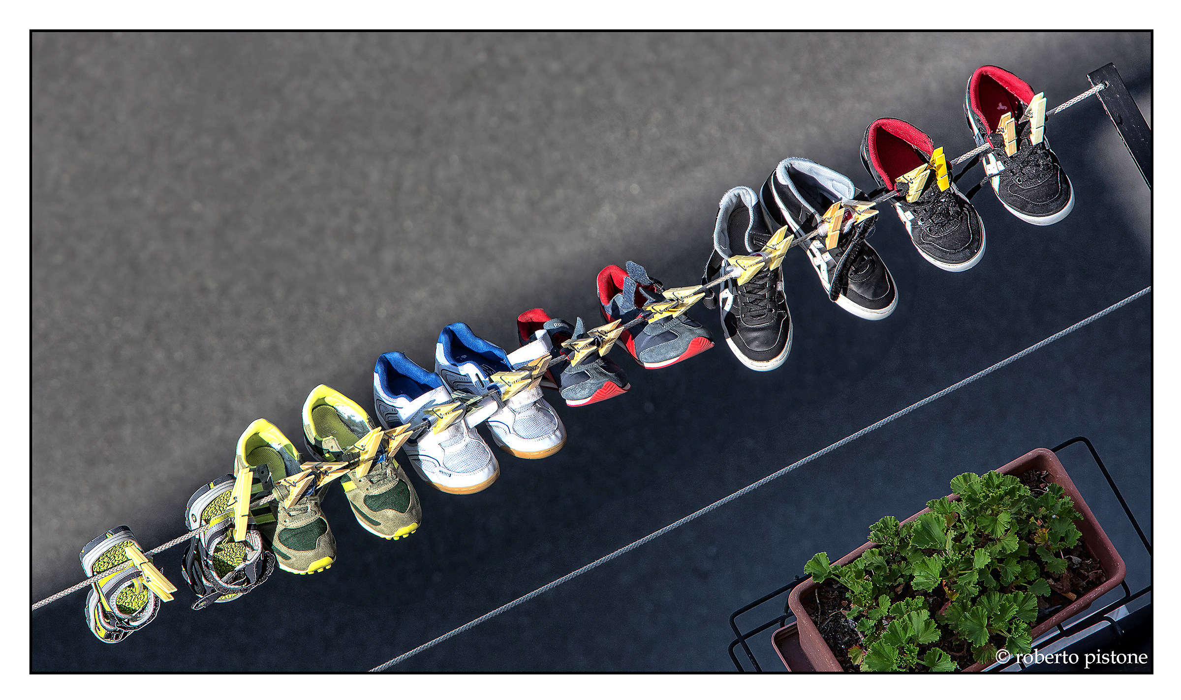 My neighbors ... centipede