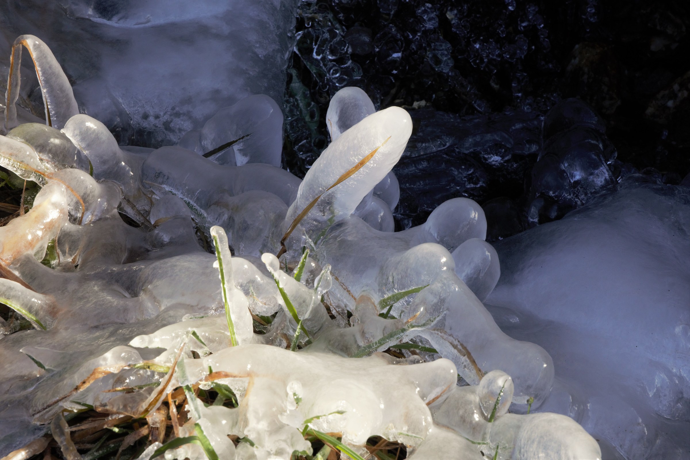 Solo un pò di calore può salvarti