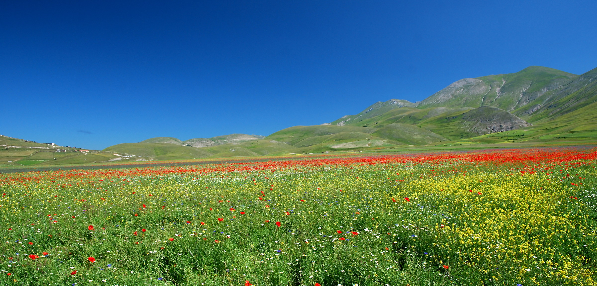 Castelluccio 010