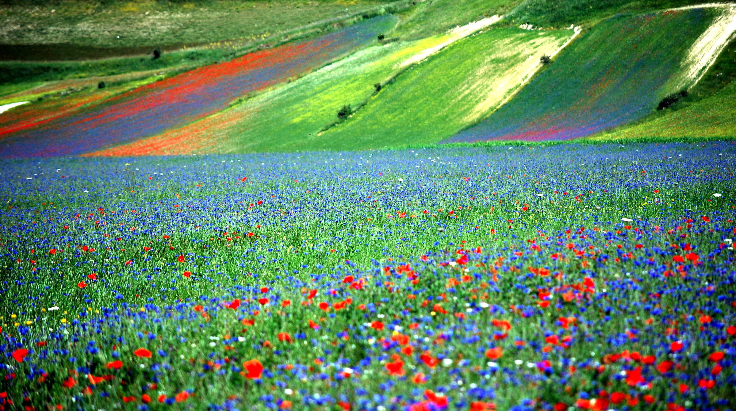 Castelluccio 011