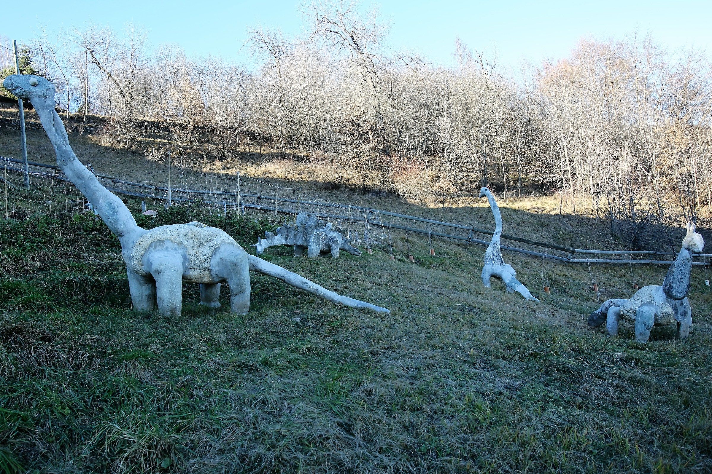 Dinosauri scoperti per caso a Montemale